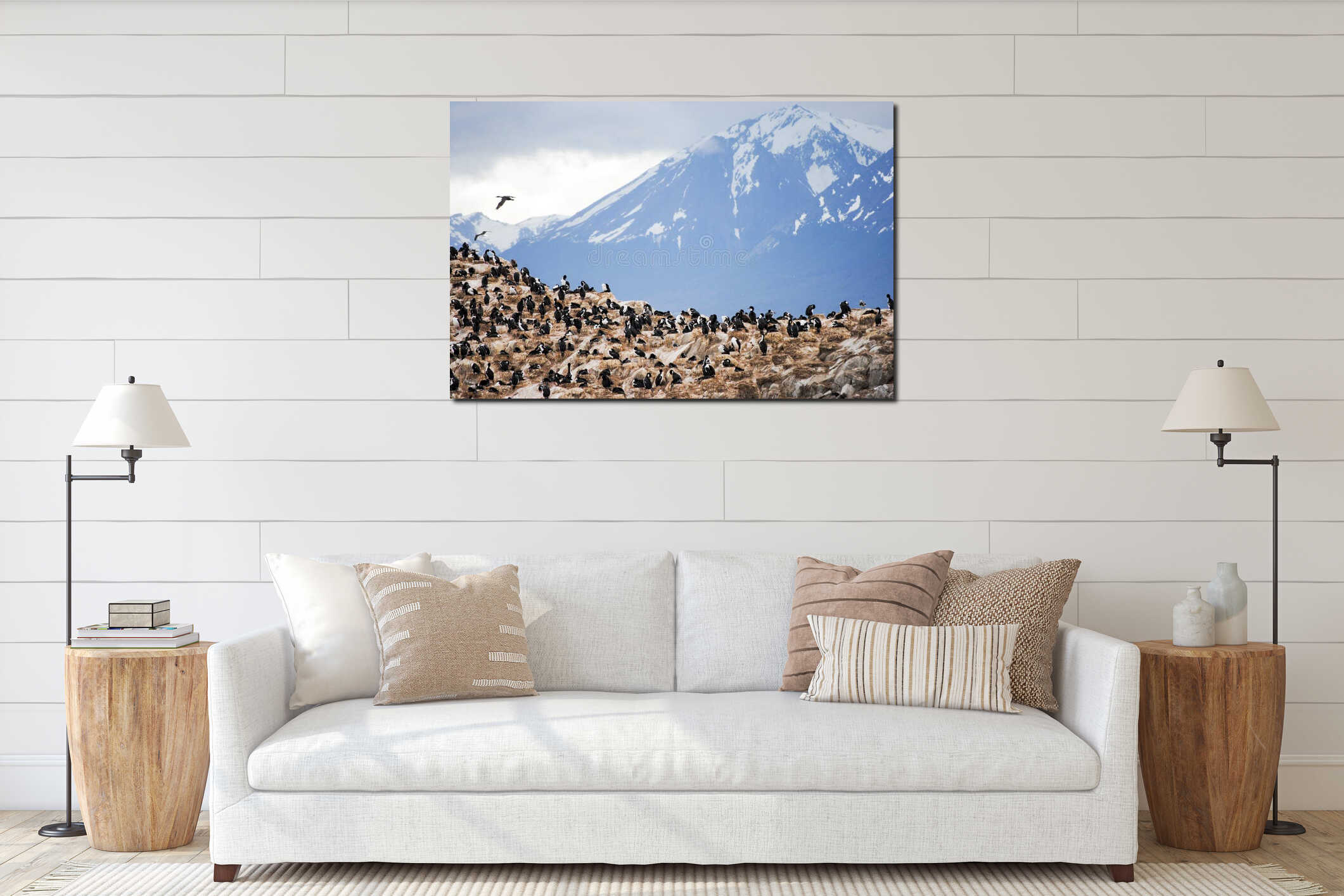Large colony of cormorants on rocky terrain with snow-capped mountains in the background interior mockup