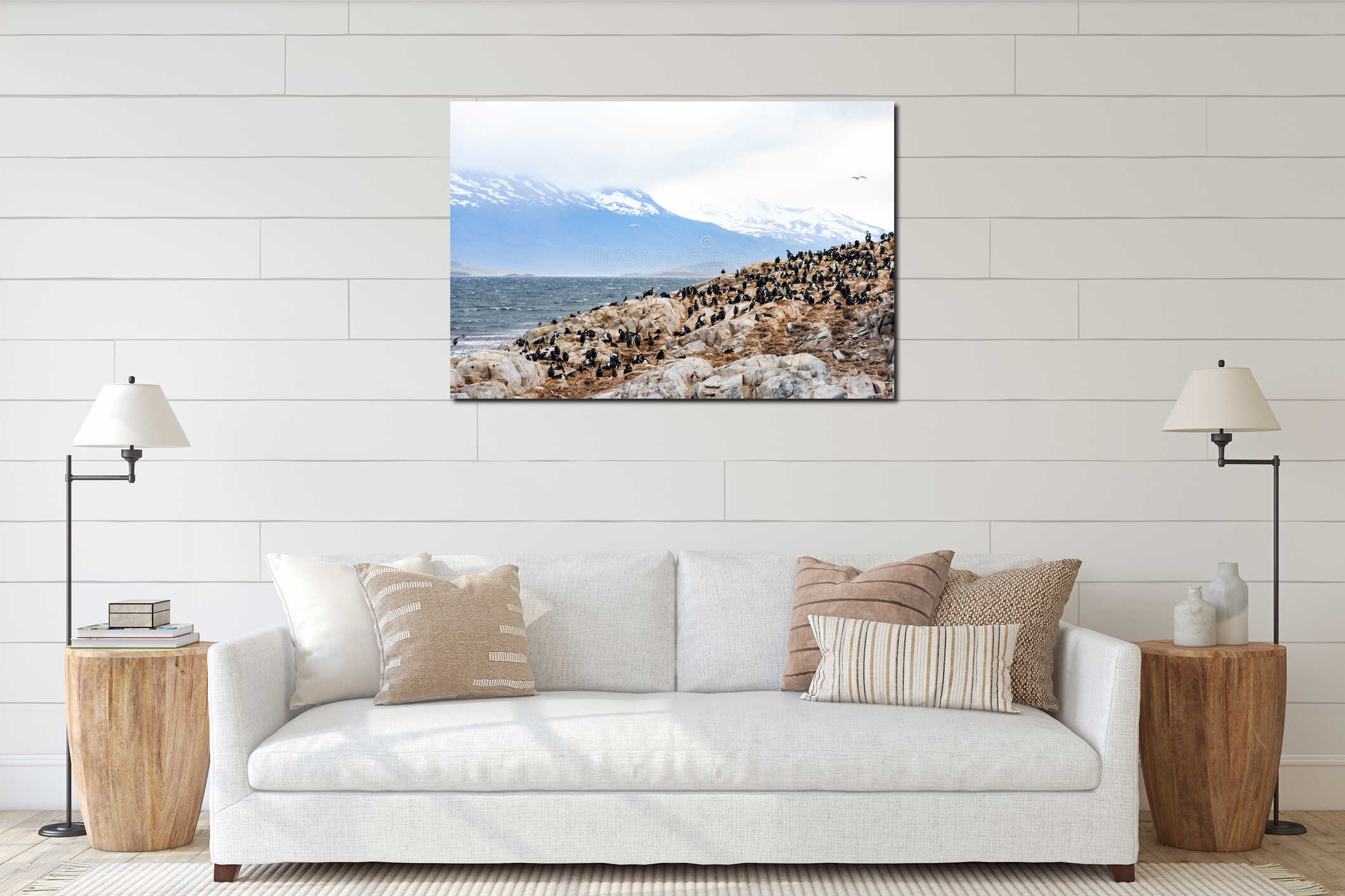 Colony of cormorants on rocky terrain with snow-capped mountains in the background interior mockup