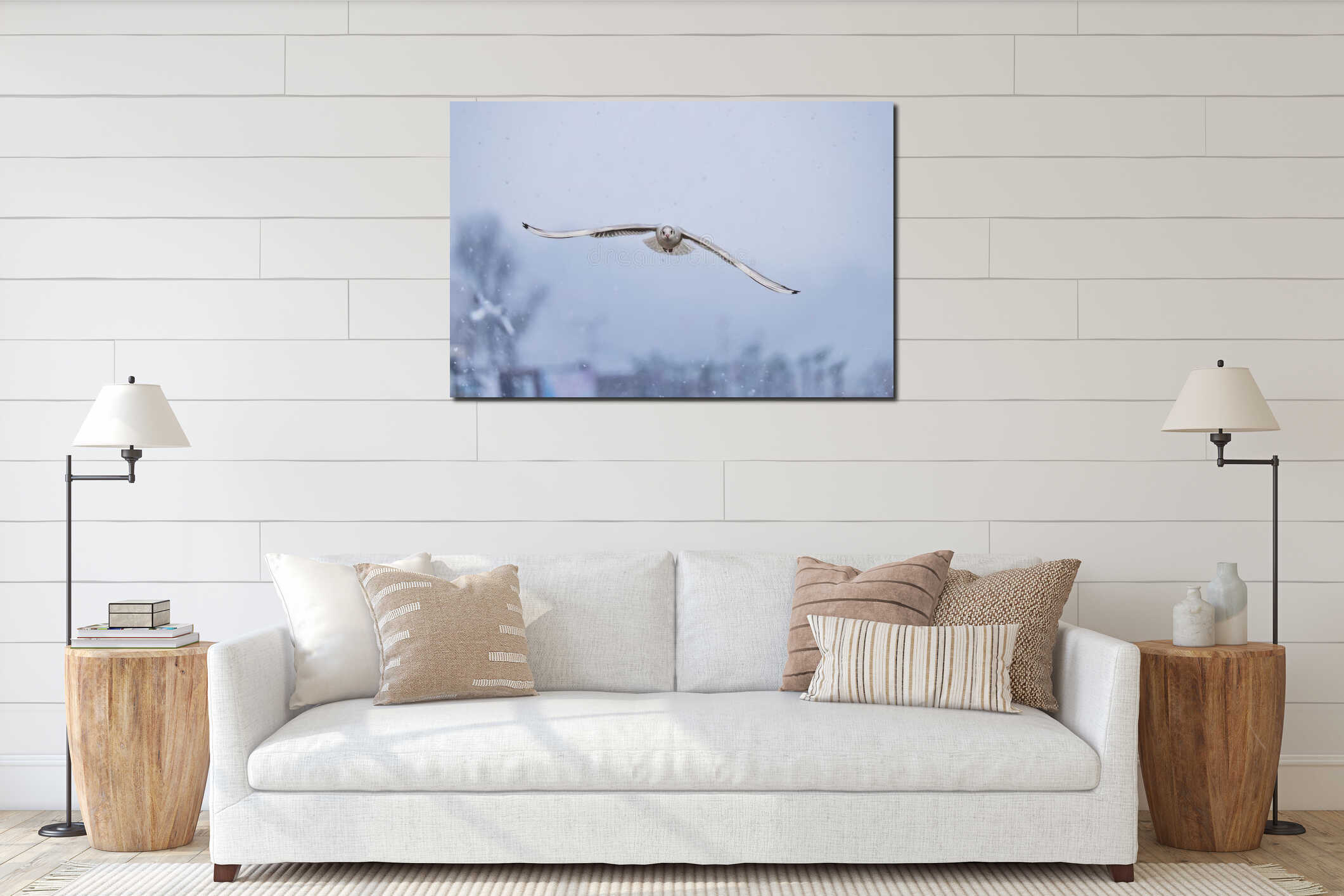 Black headed Seagull Flying Gracefully in a Snowy Winter Landscape over beach coast and sea shore. interior mockup
