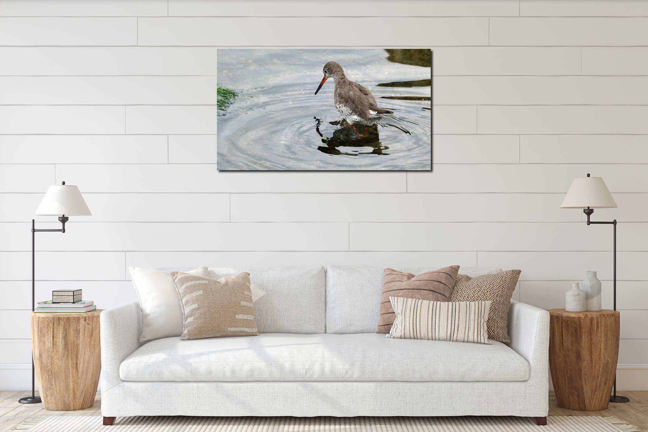 Redshanks' most distinctive features are their bright orange-red legs. interior mockup