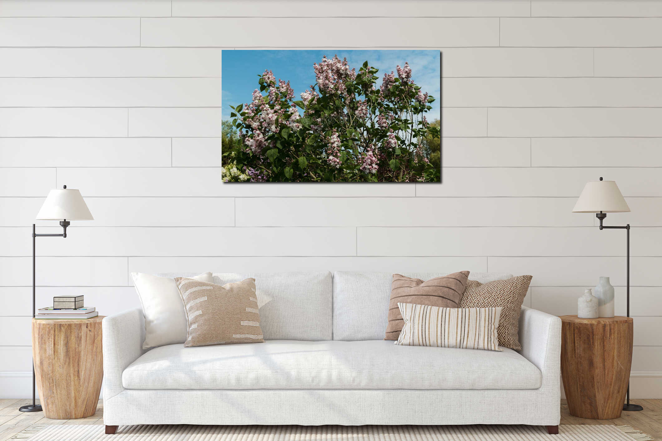 Lilac bush Beauty of Moscow interior mockup