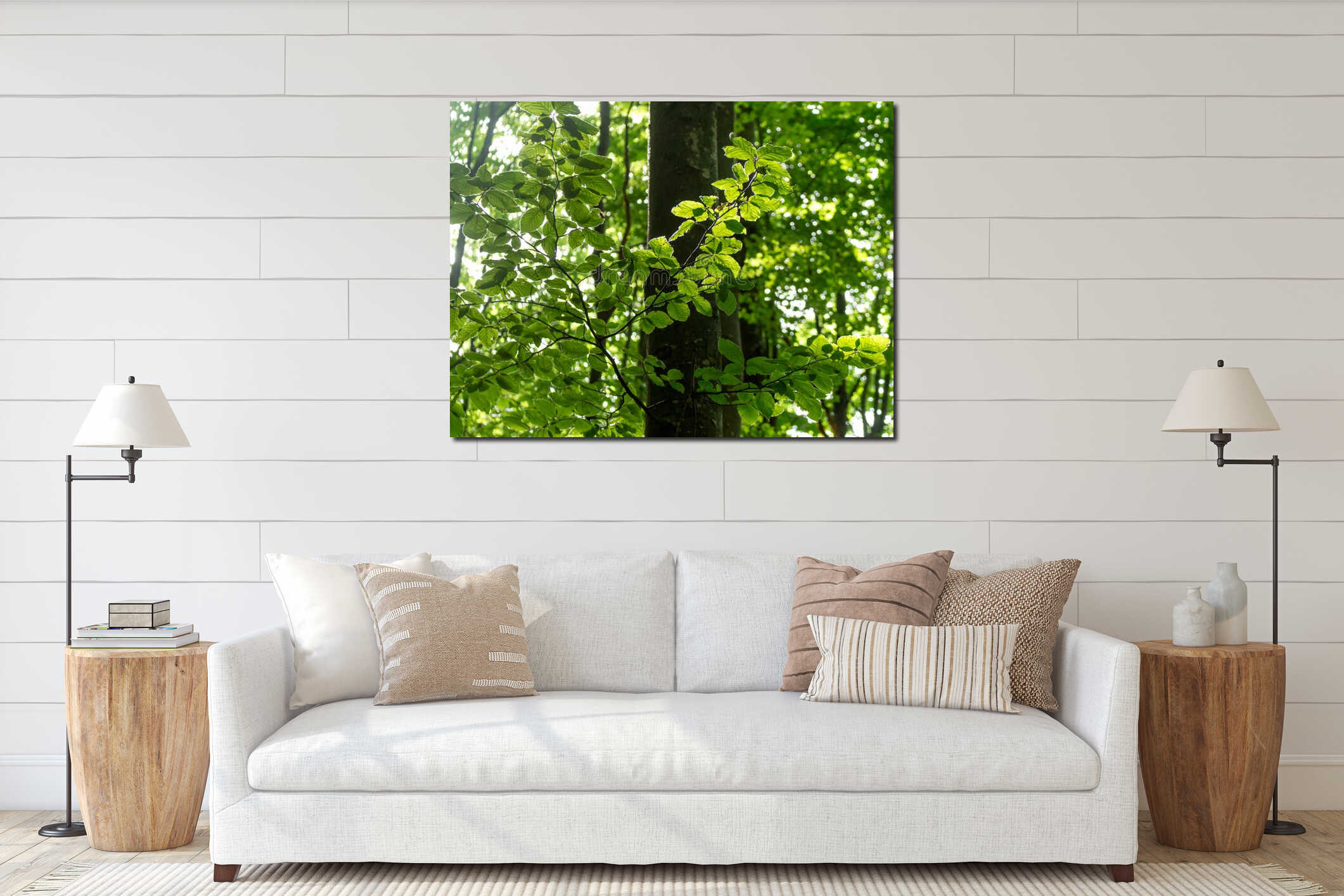 Summer Beech Forest Canopy: Vibrant Green Foliage interior mockup