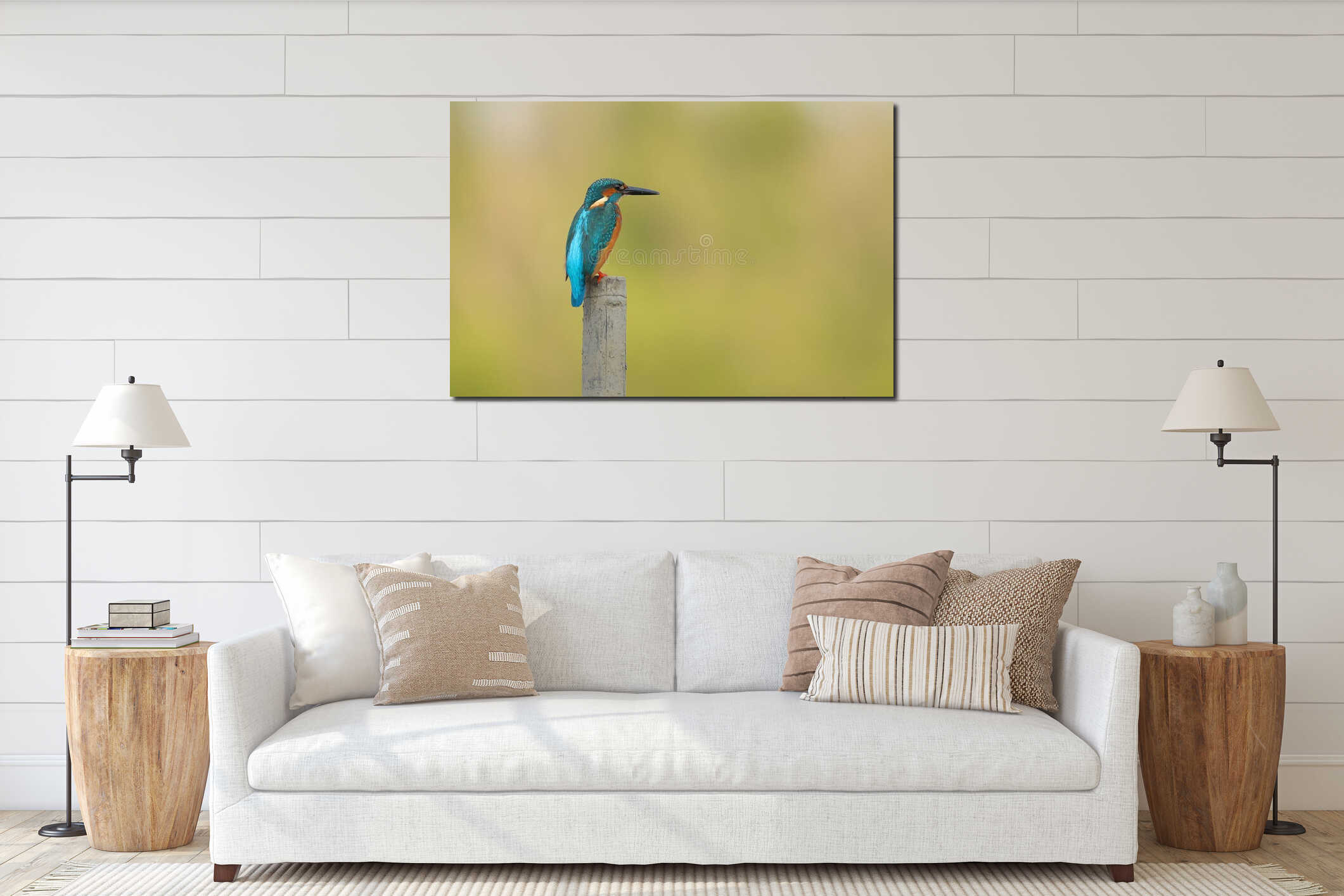 Common kingfisher bird perches on a dry branch and looking for food. interior mockup