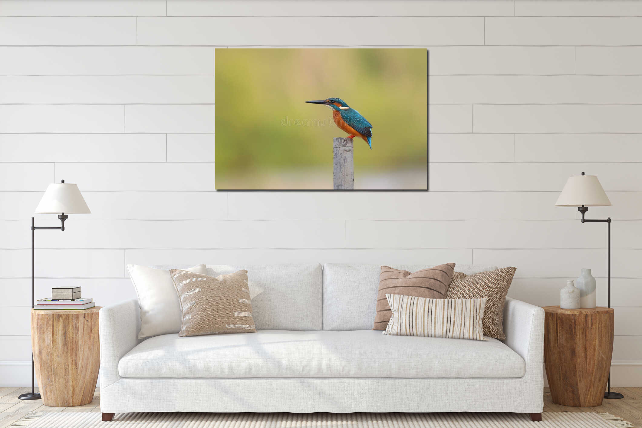 Common kingfisher bird perches on a dry branch and looking for food. interior mockup