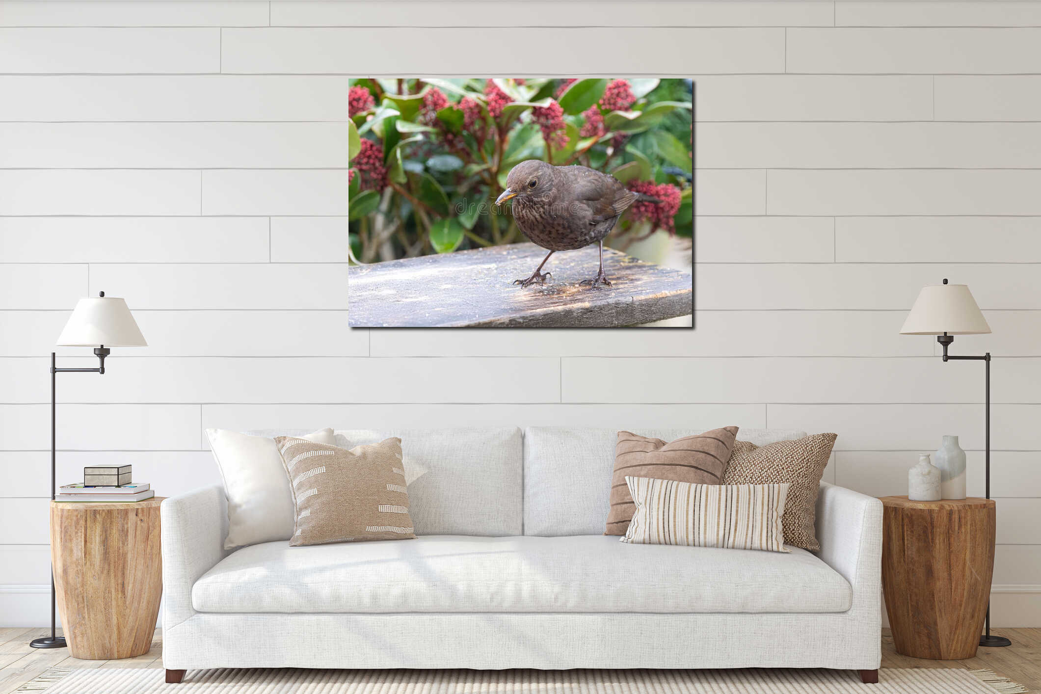 Brown bird perched with vibrant background. interior mockup