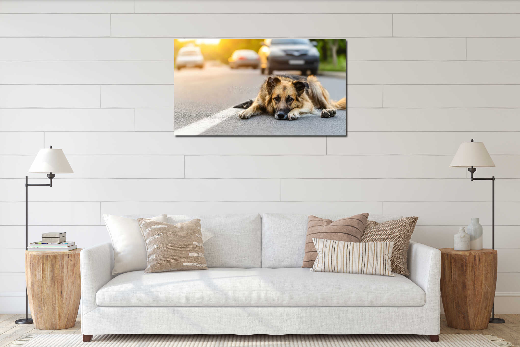 Dog resting on a road: Calm canine amidst blurred cars, illuminated by sunlight. interior mockup