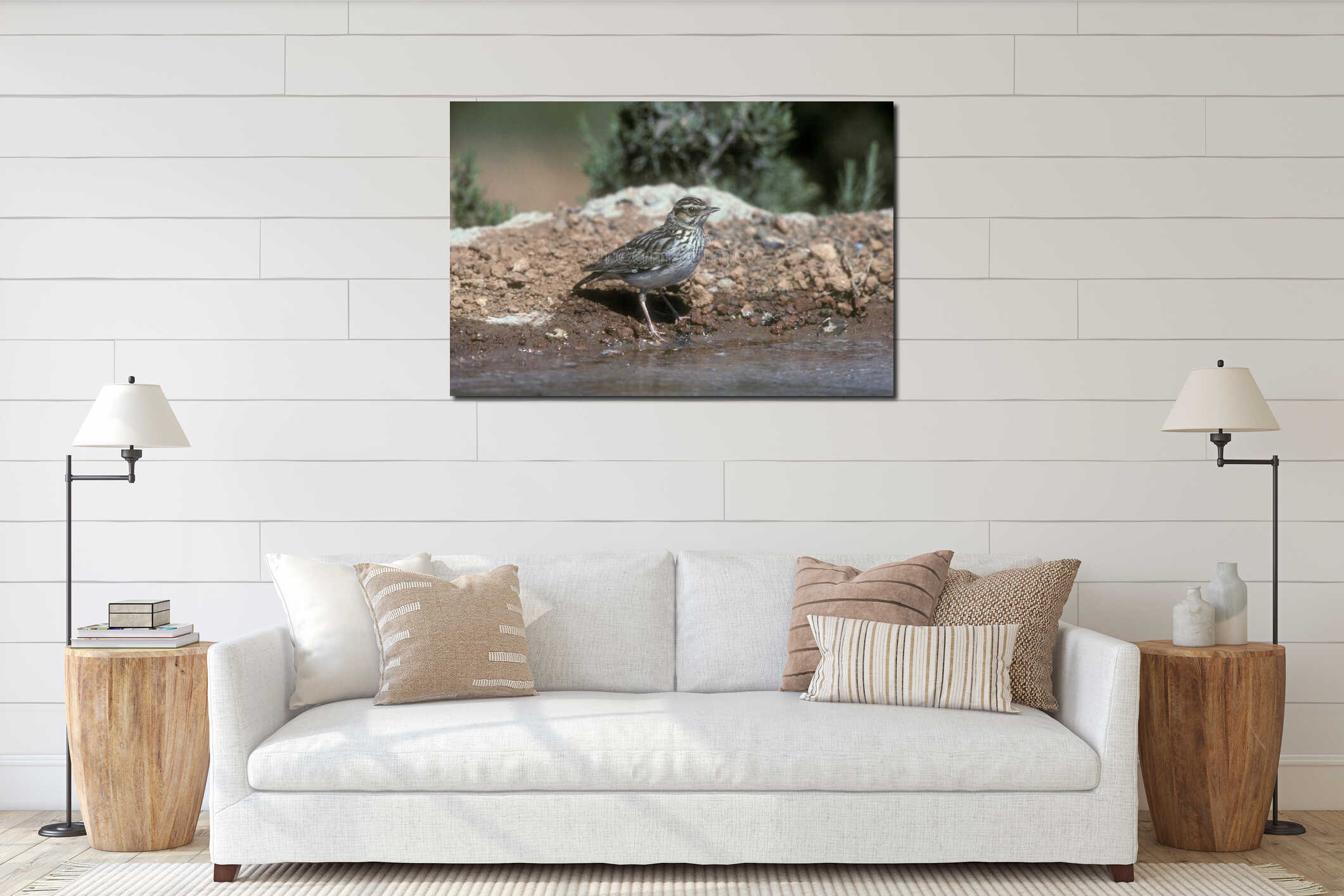 Wood lark, Lullula arborea, interior mockup