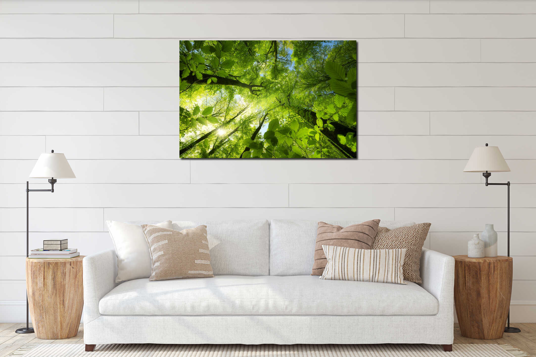 Beech forest canopy with bright green leaves and the sun interior mockup