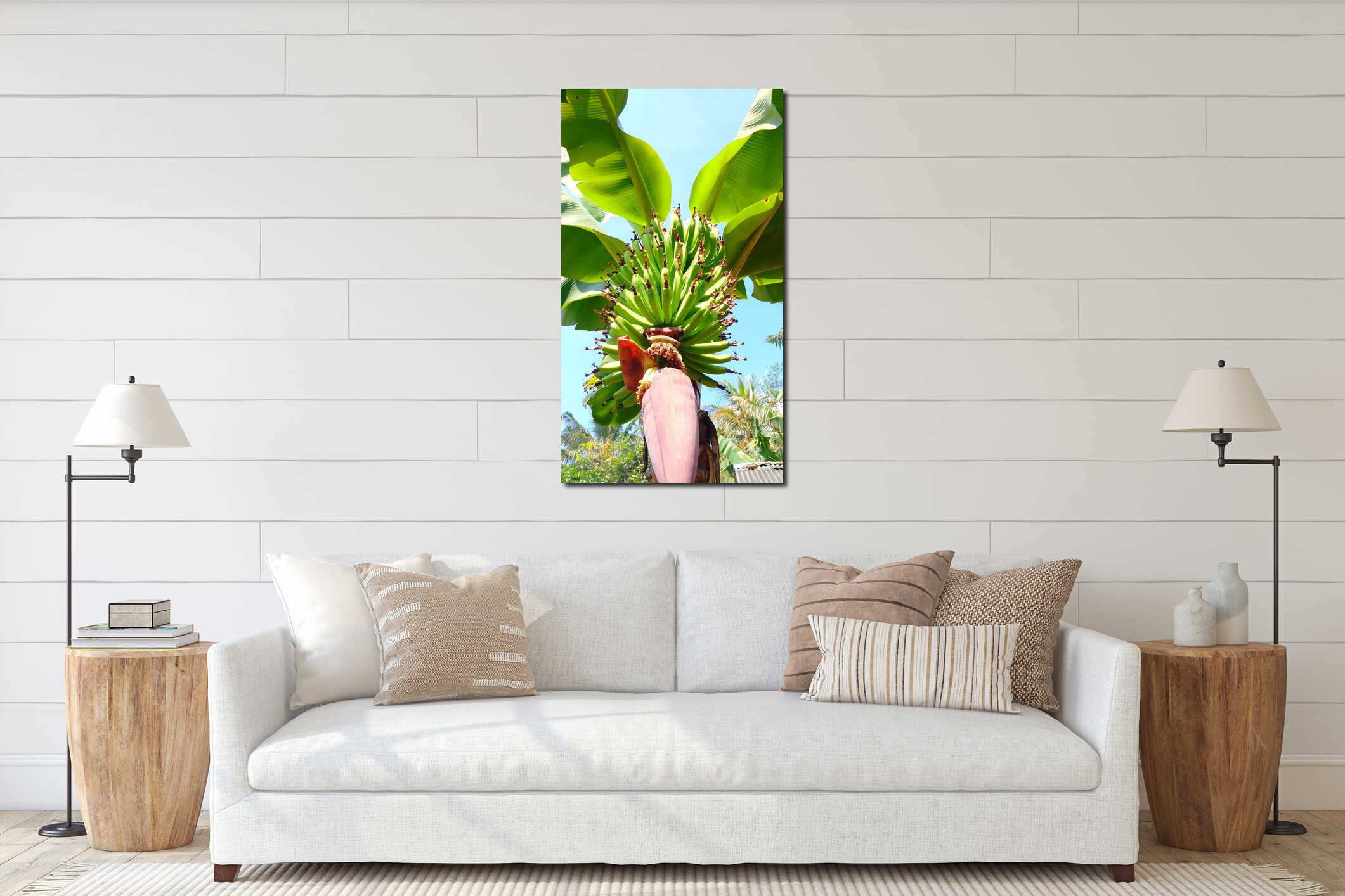 Banana tree & x28;Musa paradisiaca& x29;. interior mockup