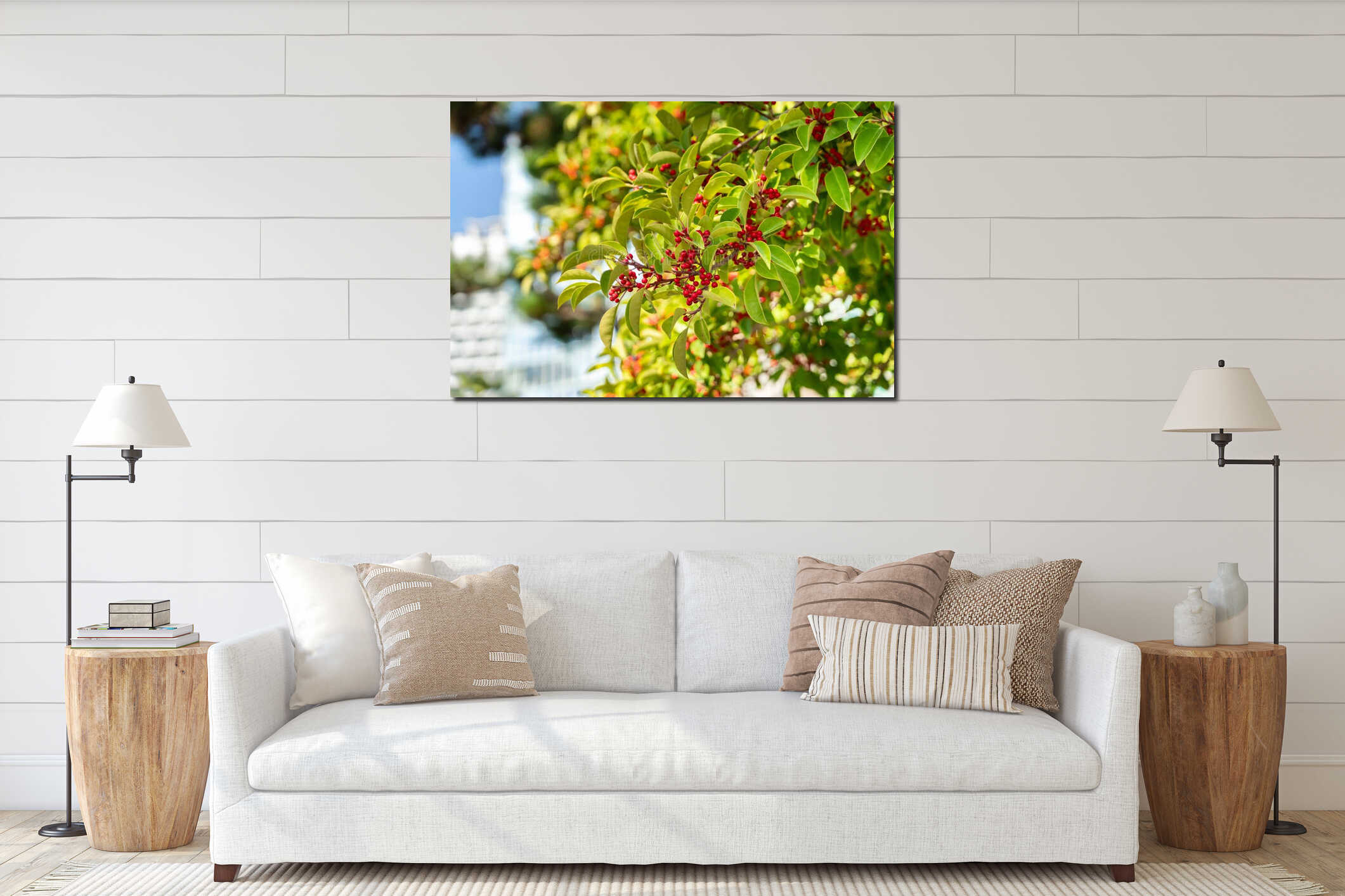 Ilex rotunda Tree with Red Berries and Glossy Green Leaves in Natural Light interior mockup
