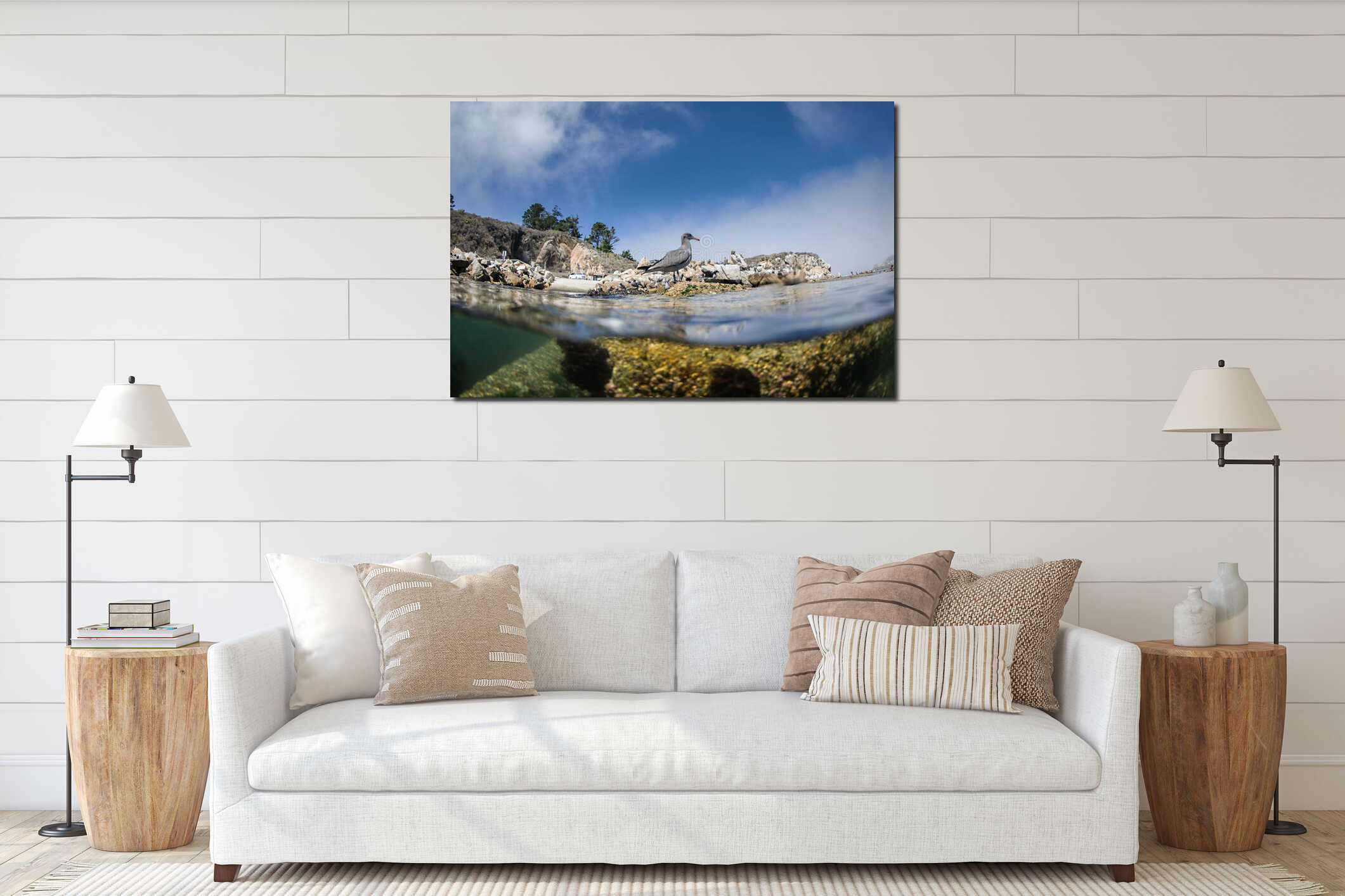 Seagull standing on rocky shore above tide pool, over-under view interior mockup