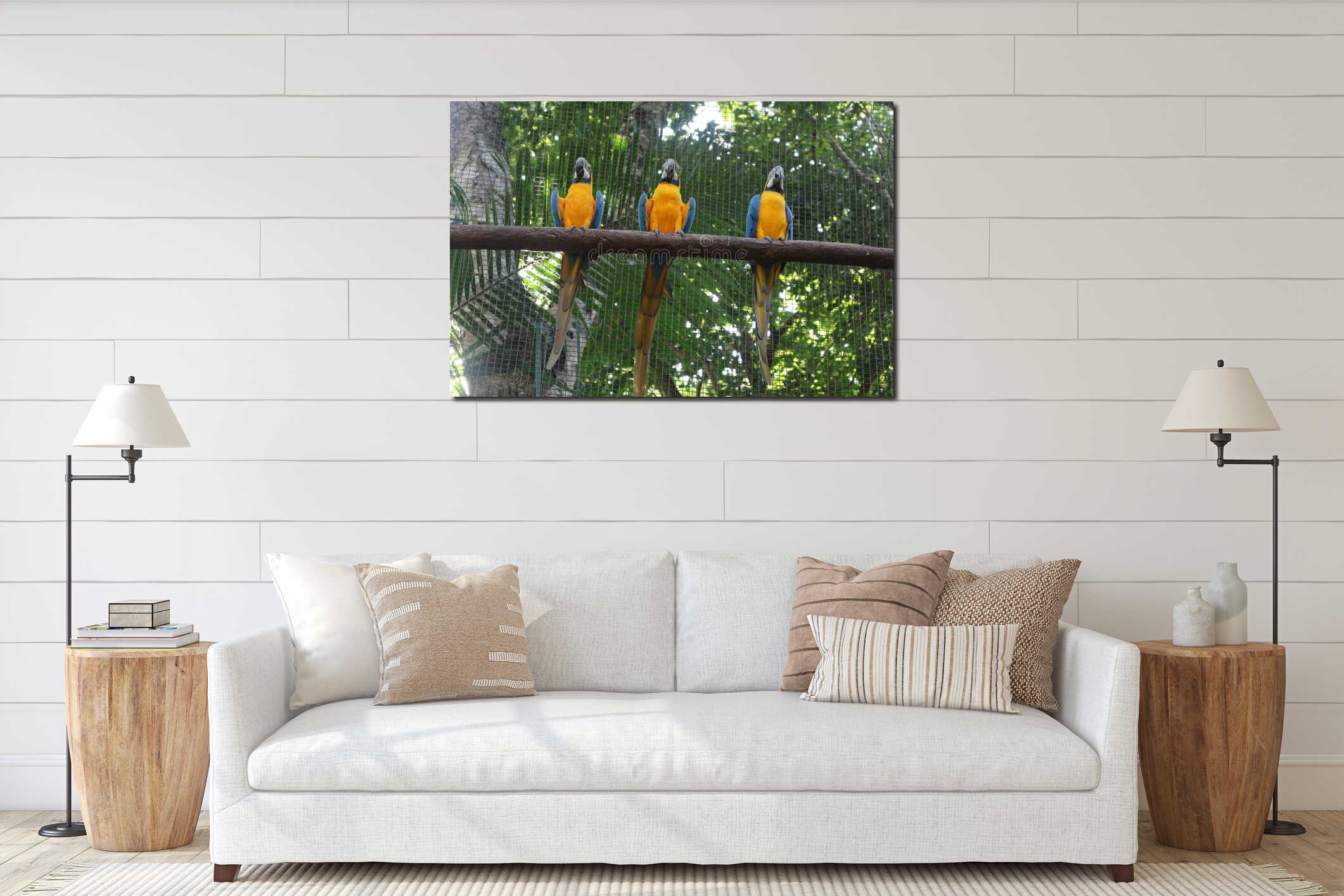 Three Colorful Macaws in Reserve. interior mockup