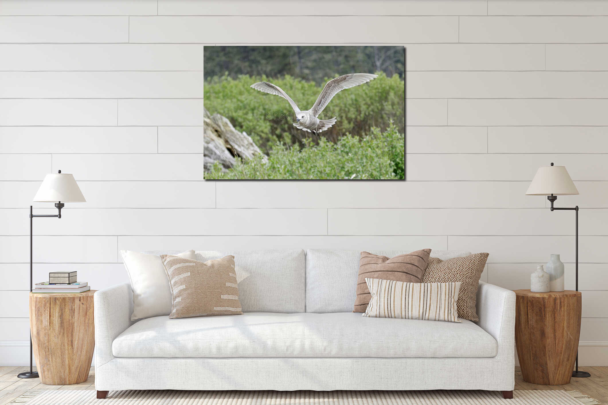 Seagull flies just above the bushes interior mockup