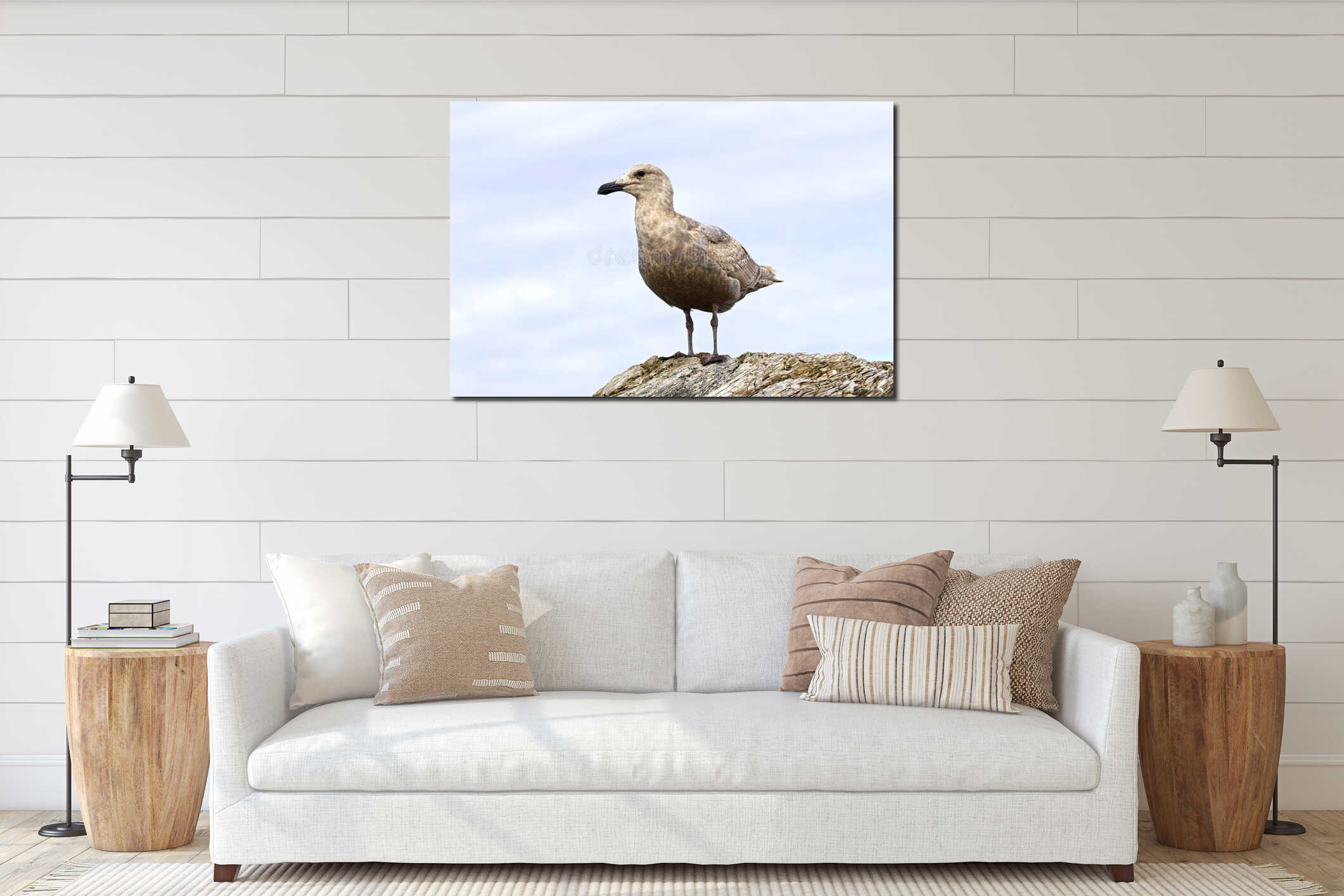Close up of perched juvenile gull interior mockup