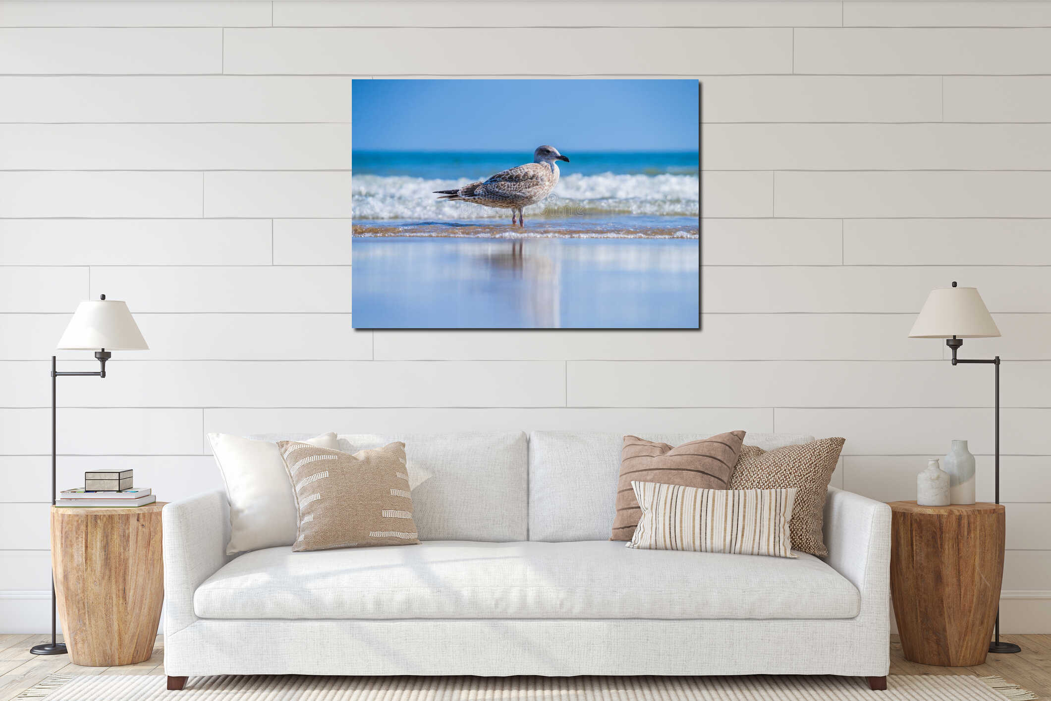Seagull standing in shallow sea on a sunny day interior mockup