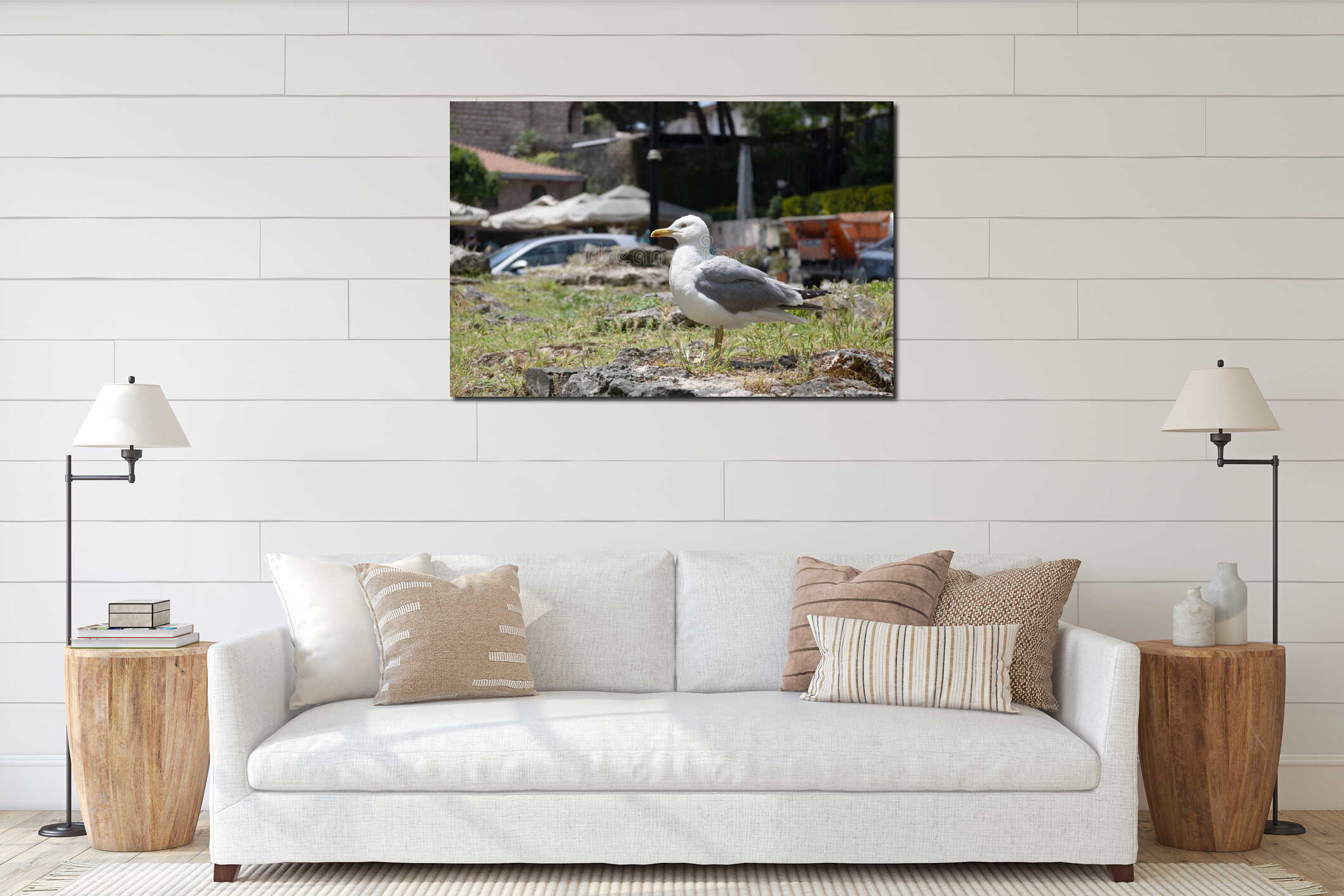 Urban Seagull Standing on Rocky Ground interior mockup