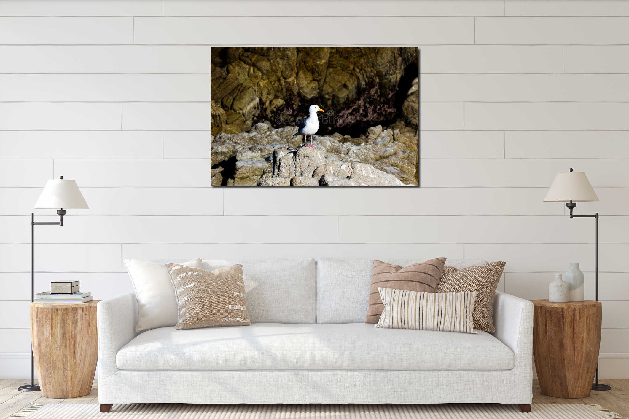 Lone Seagull Standing On Rocks Pacific Grove California interior mockup