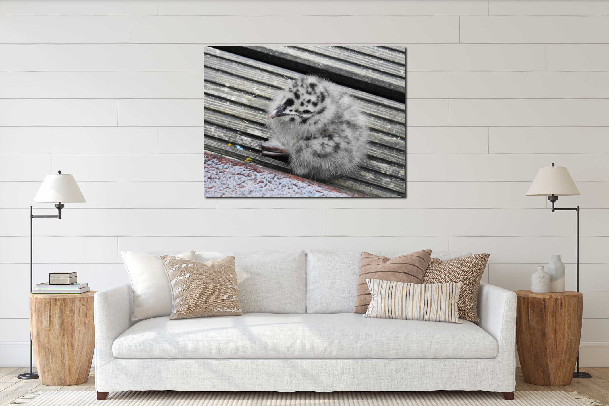 baby seagull chick hiding nest camouflage garden danger babies birds animals pets interior mockup