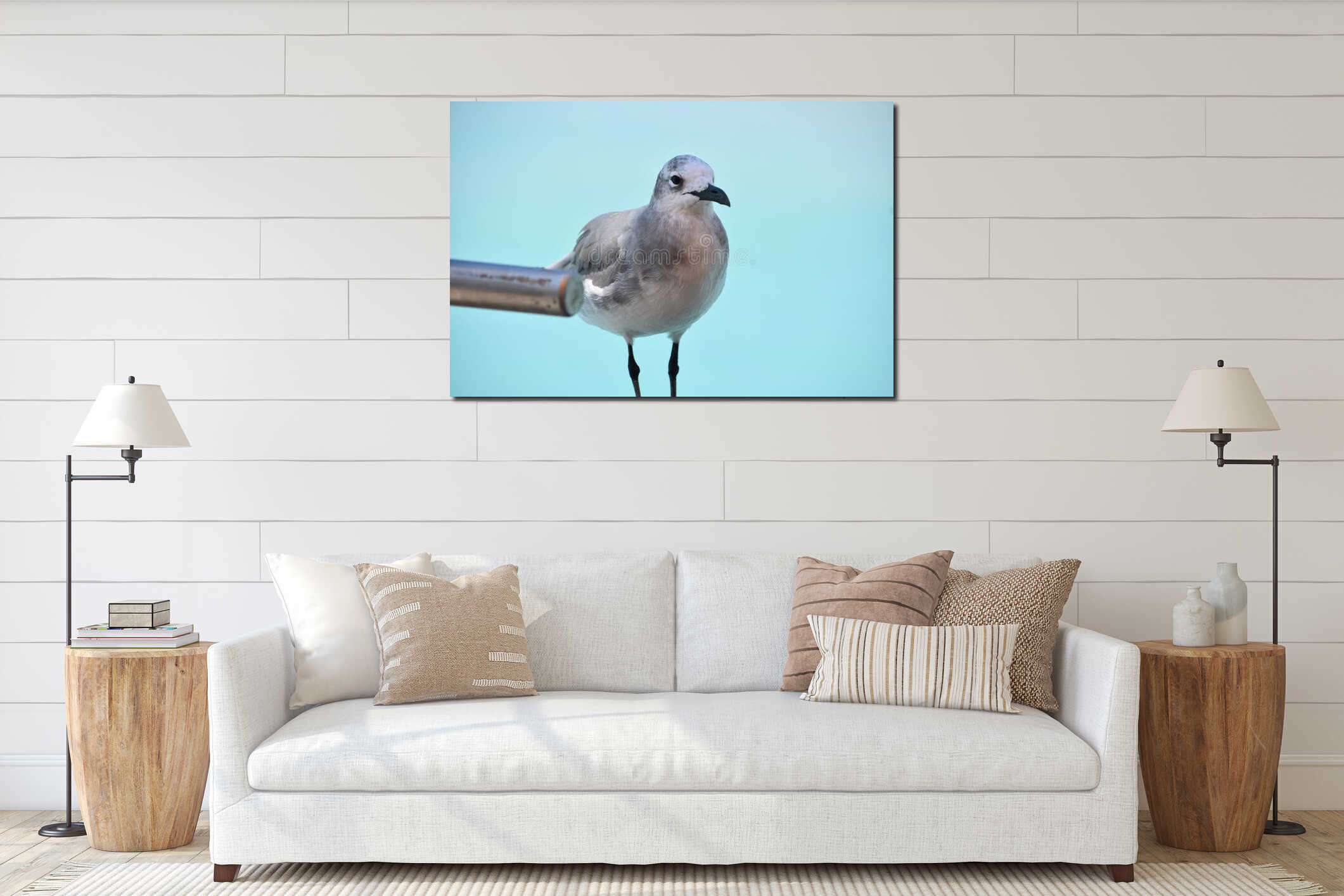 Seagull Standing by the Tropical Waters in Aruba interior mockup