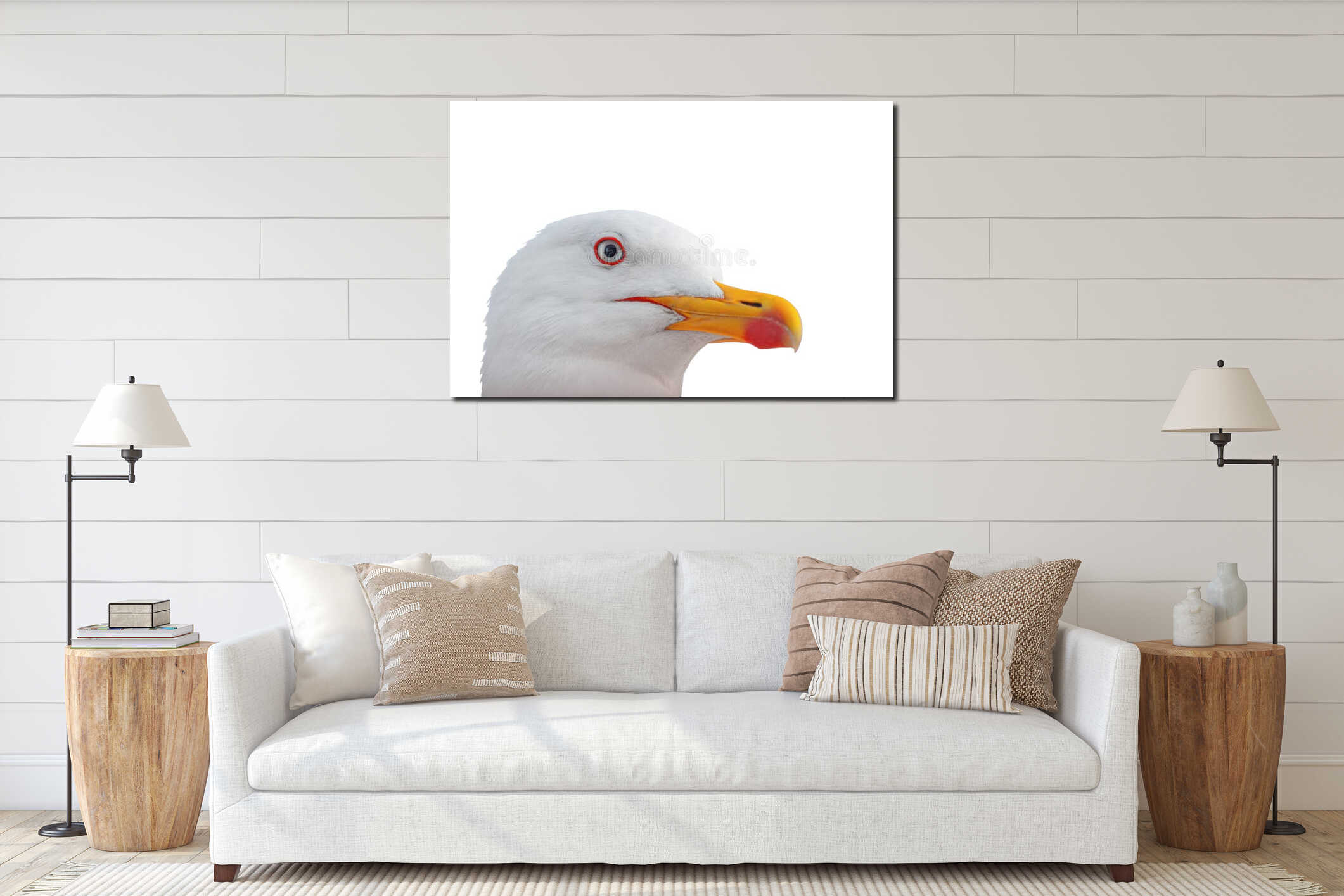 Photo of a large head of an adult ivory gull looking at the camera, isolated on a white transparent background, close-up. Amazing interior mockup