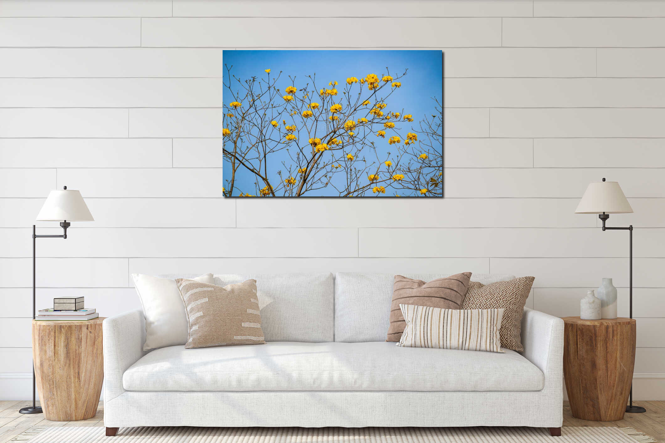 Radiant Yellow Tabebuia Flowers Blooming Against a Clear Blue Sky in Spring interior mockup