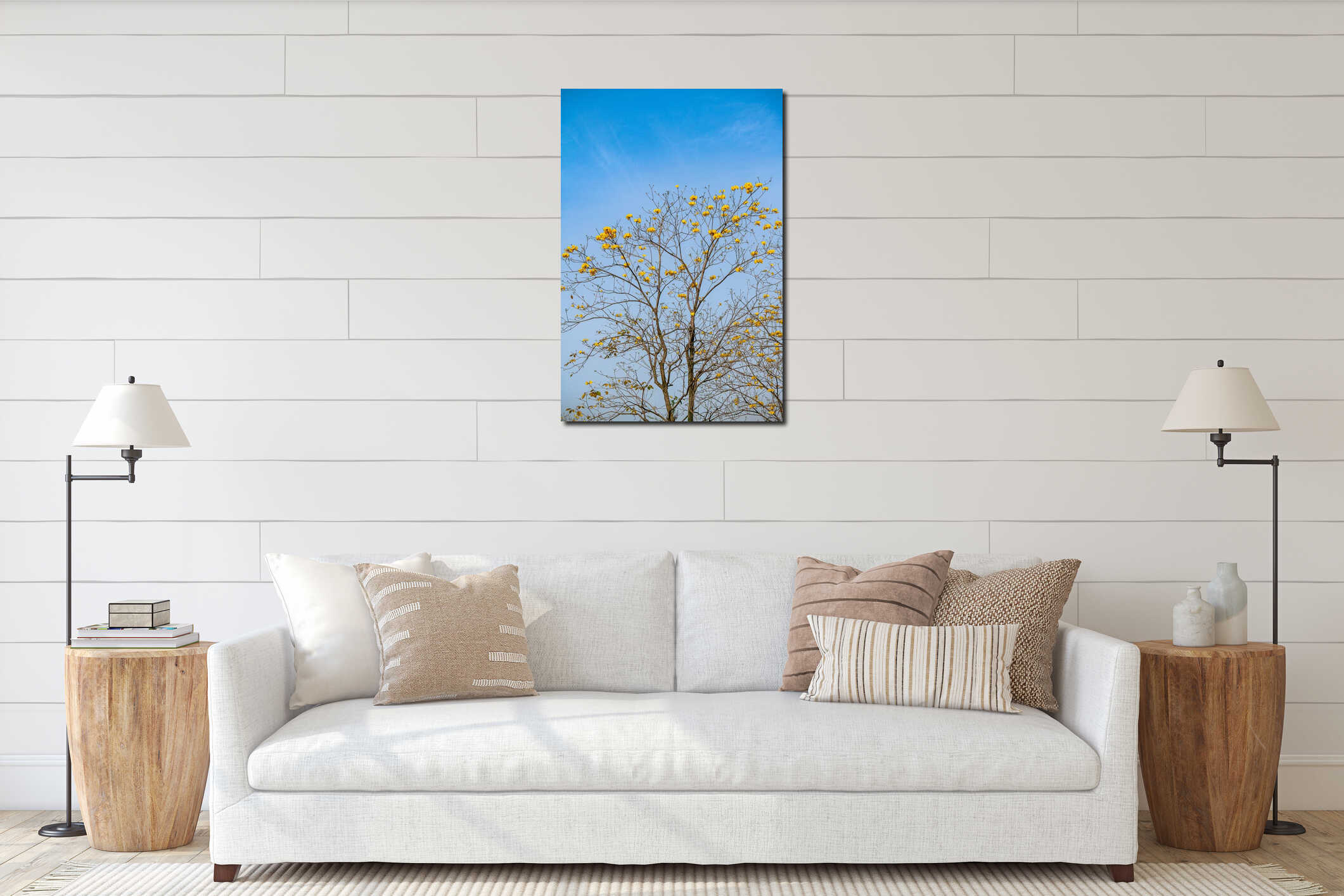 Radiant Yellow Tabebuia Flowers Blooming Against a Clear Blue Sky in Spring interior mockup