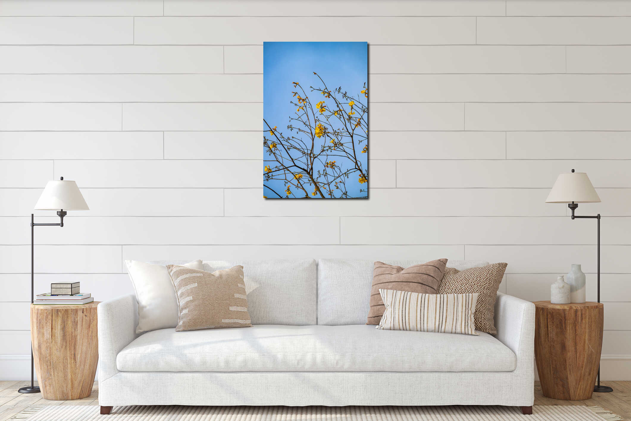 Radiant Yellow Tabebuia Flowers Blooming Against a Clear Blue Sky in Spring interior mockup