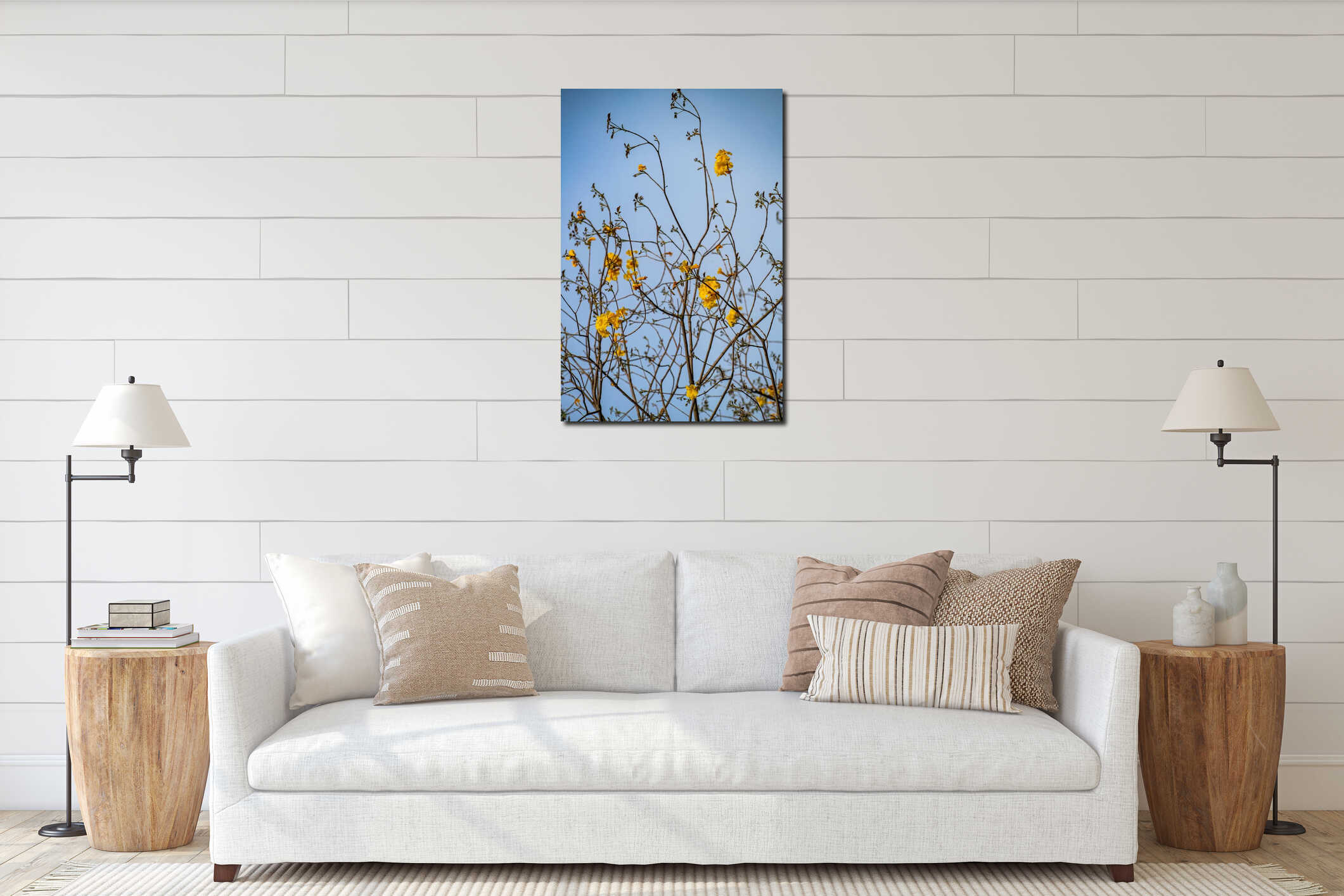 Radiant Yellow Tabebuia Flowers Blooming Against a Clear Blue Sky in Spring interior mockup