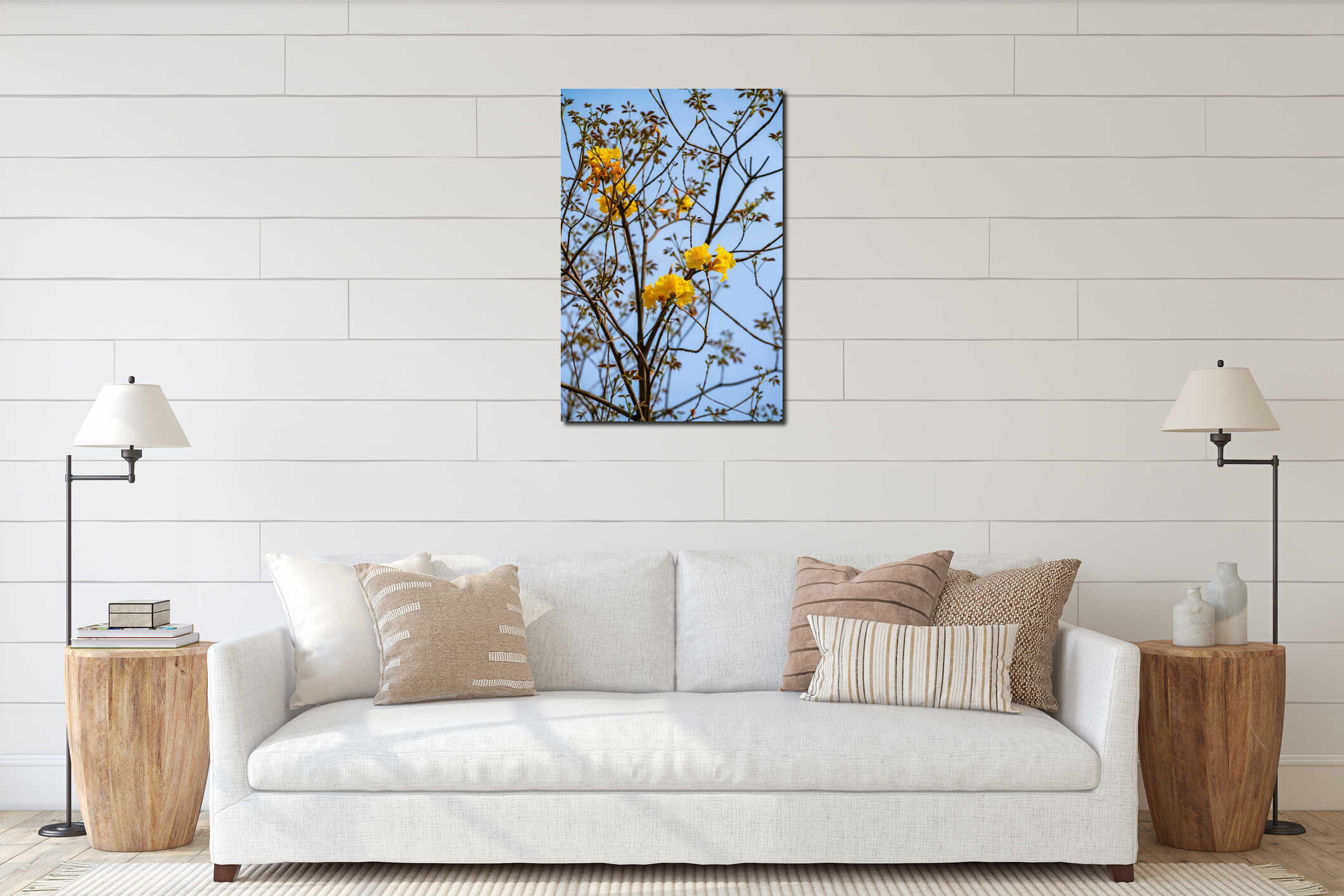 Radiant Yellow Tabebuia Flowers Blooming Against a Clear Blue Sky in Spring interior mockup