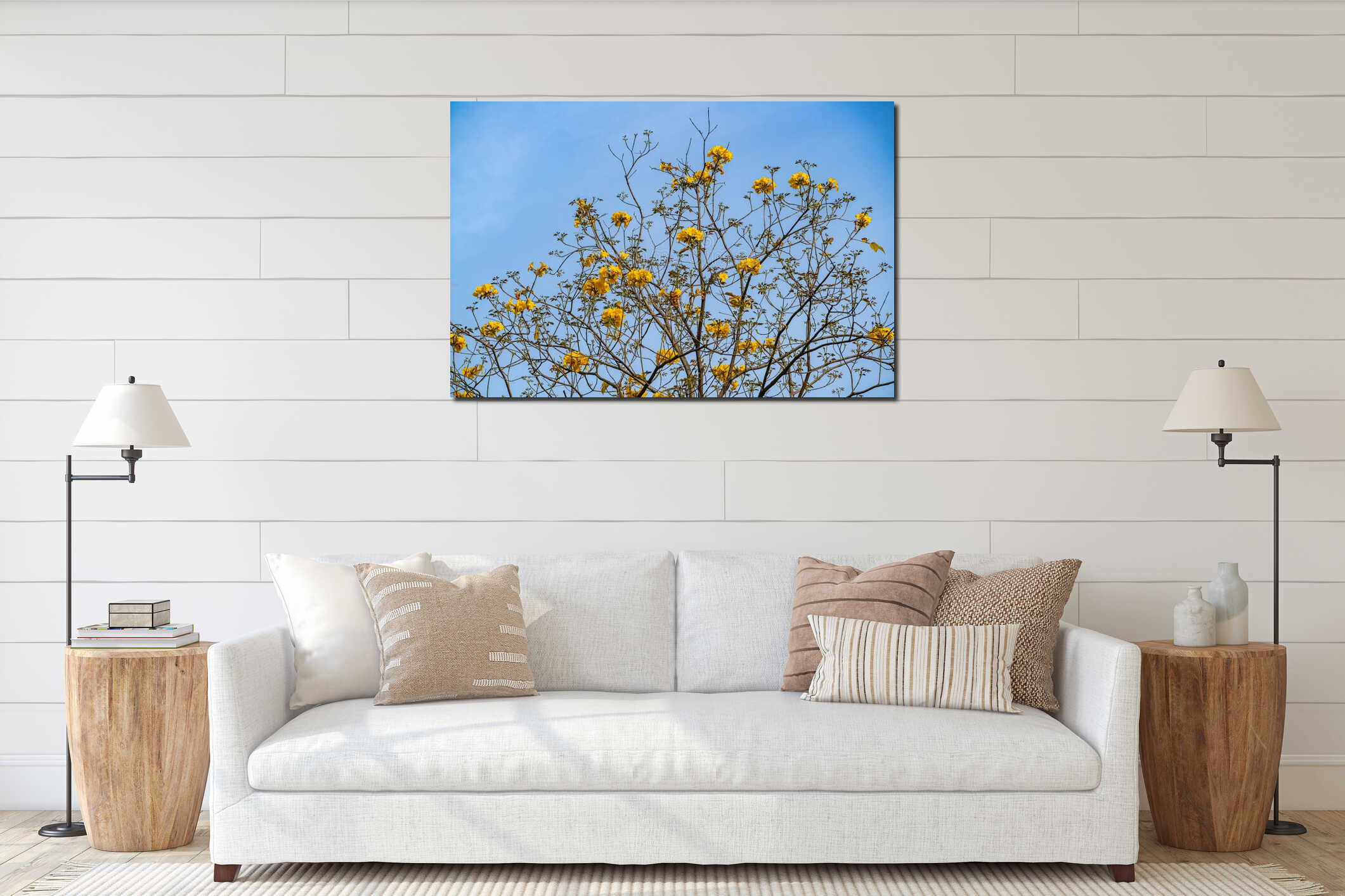 Radiant Yellow Tabebuia Flowers Blooming Against a Clear Blue Sky in Spring interior mockup