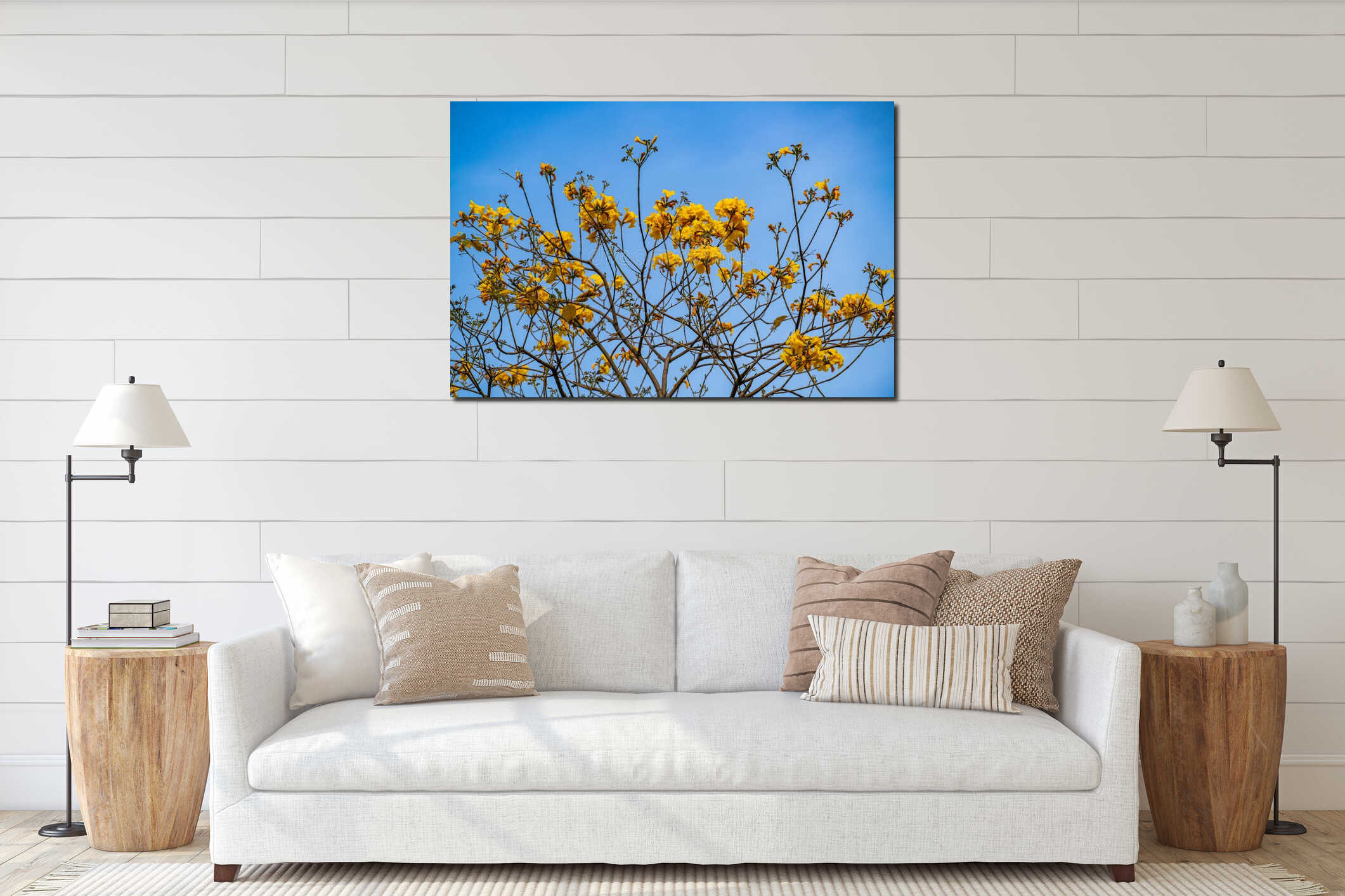 Radiant Yellow Tabebuia Flowers Blooming Against a Clear Blue Sky in Spring interior mockup