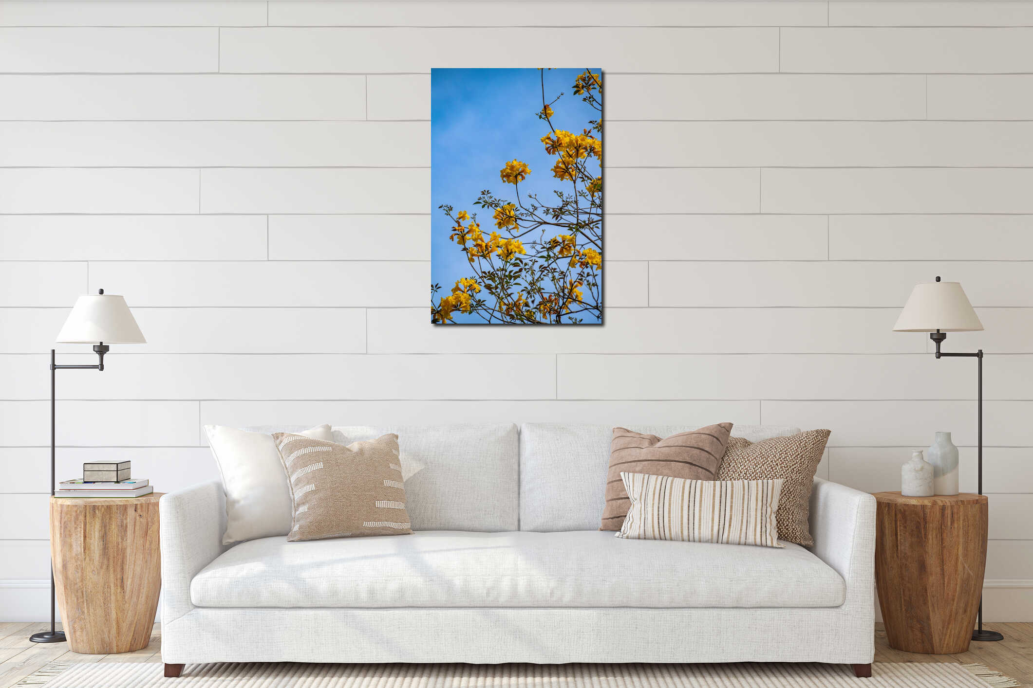 Radiant Yellow Tabebuia Flowers Blooming Against a Clear Blue Sky in Spring interior mockup