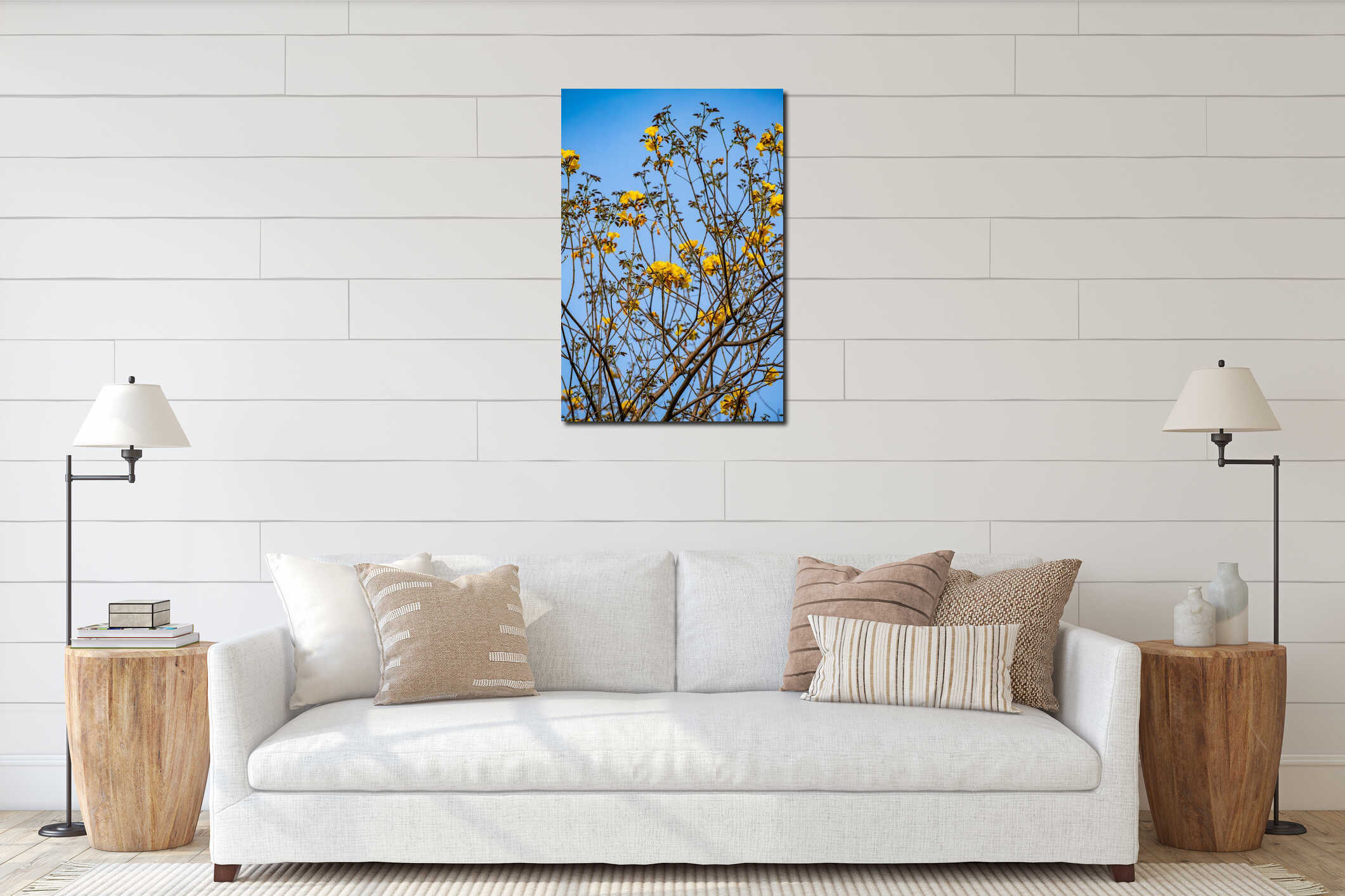 Radiant Yellow Tabebuia Flowers Blooming Against a Clear Blue Sky in Spring interior mockup