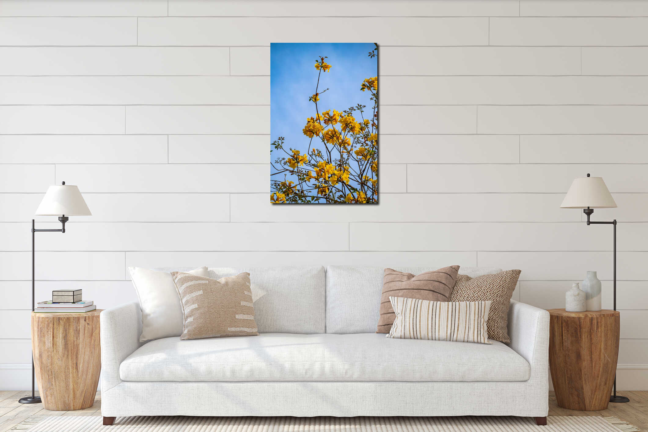 Radiant Yellow Tabebuia Flowers Blooming Against a Clear Blue Sky in Spring interior mockup