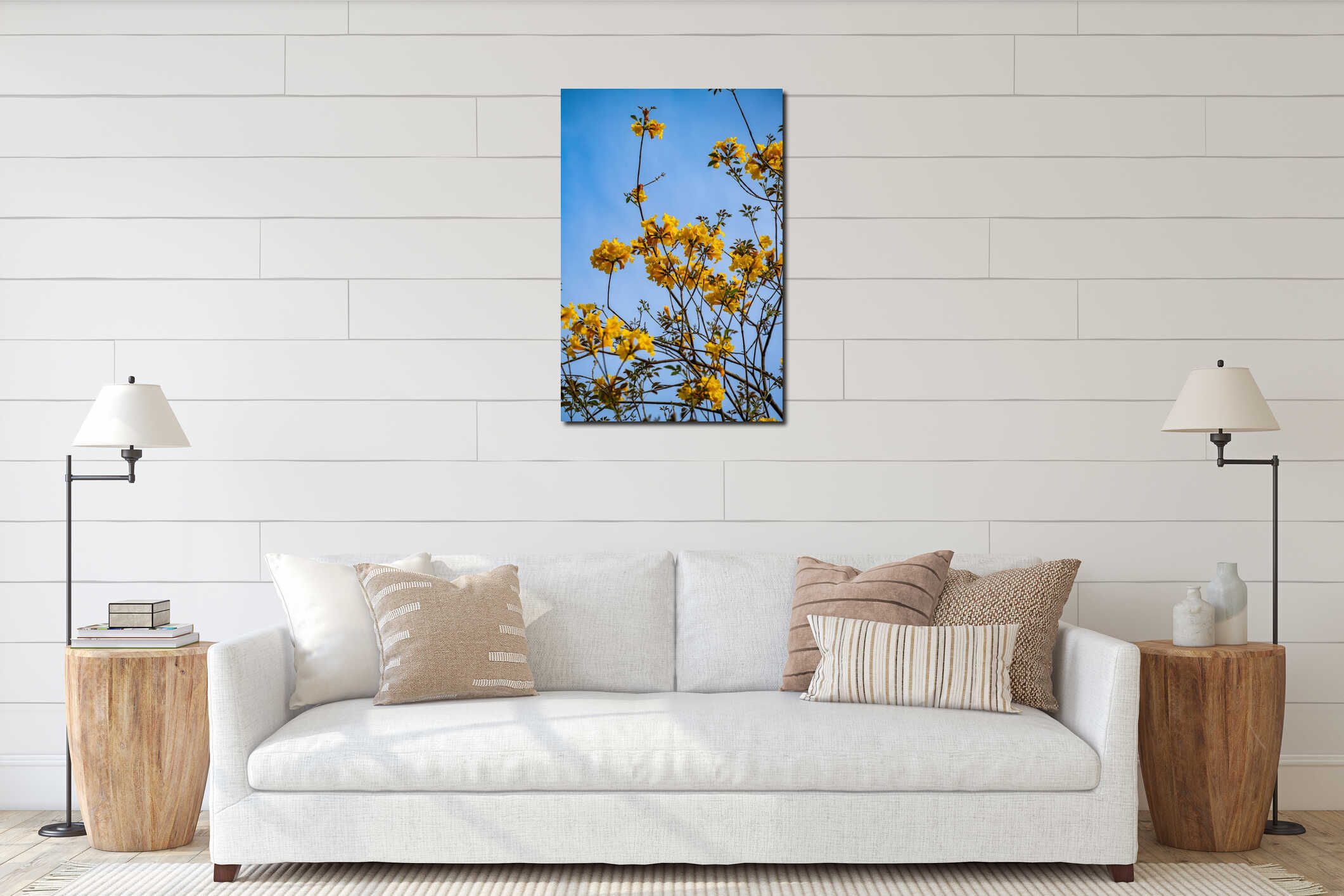 Radiant Yellow Tabebuia Flowers Blooming Against a Clear Blue Sky in Spring interior mockup