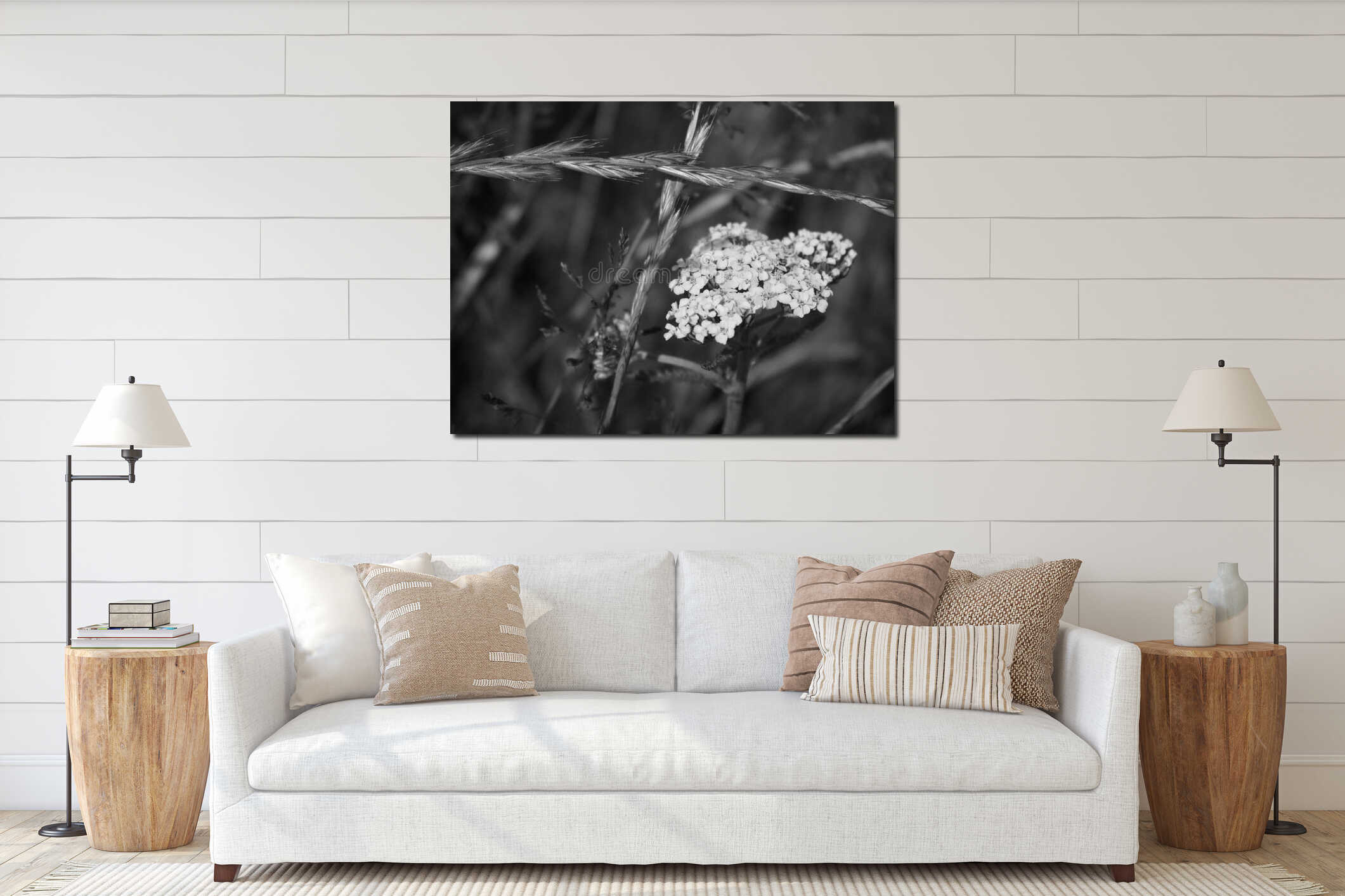 Black and white close-up of wild meadow flower and grass blades with blurred background for natural minimalist aesthetic interior mockup