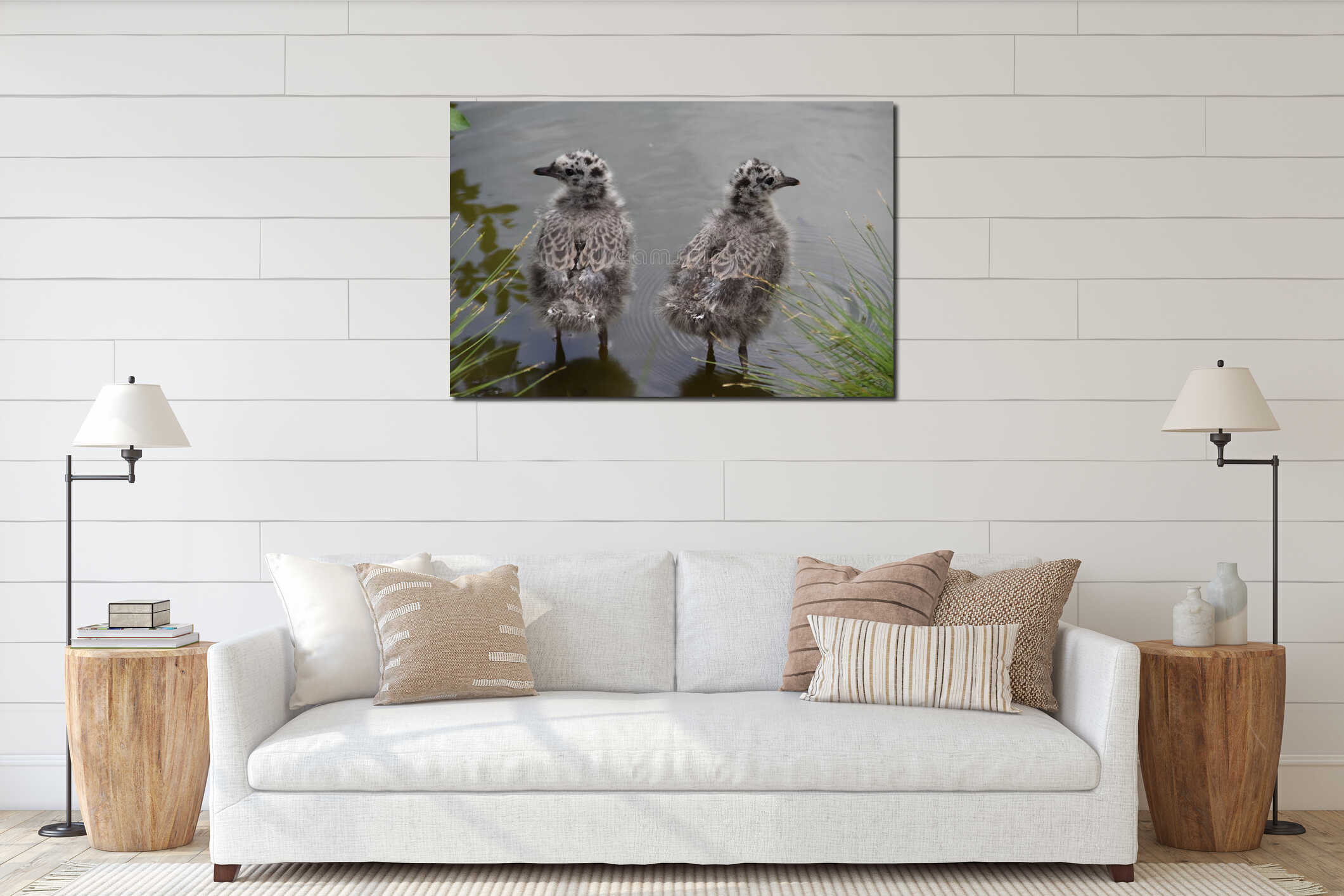 Baby Seagulls Side By Side interior mockup