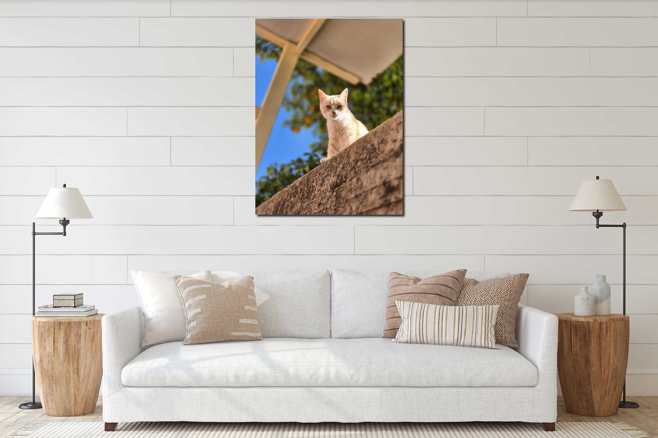 The little cat stood up to face his future interior mockup