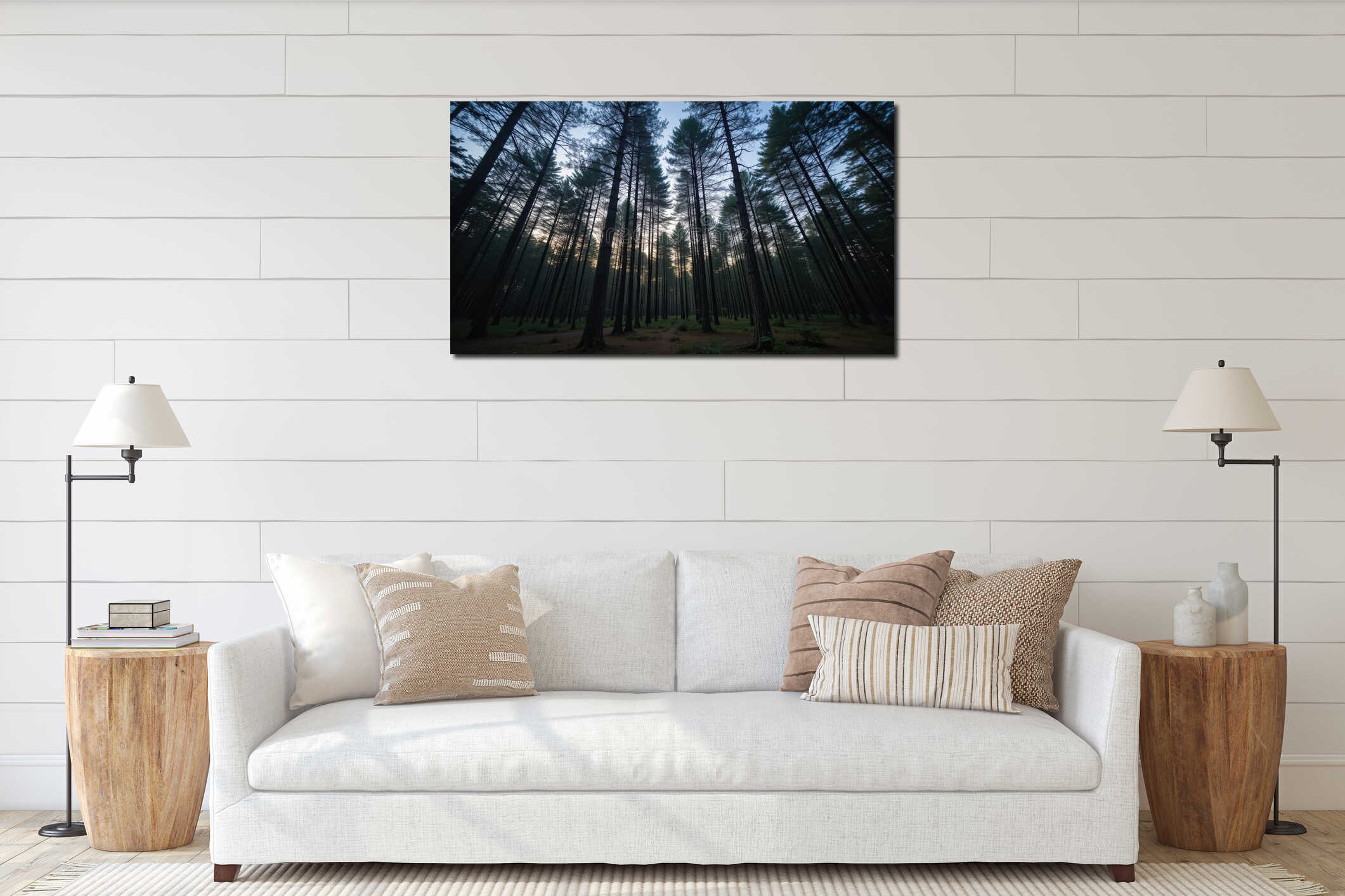 Dramatic Low Angle Pine Forest with Silhouetted Trees interior mockup
