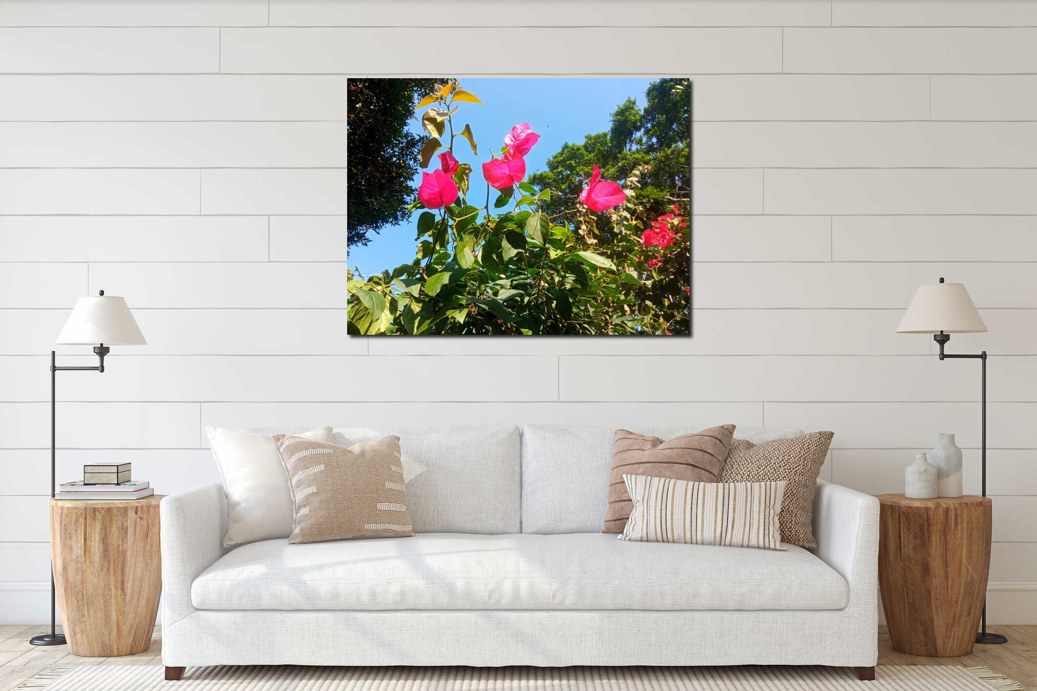 Vibrant Pink Bougainvillea Against a Clear Blue SkyDescription: A close-up, low-angle view of beautiful interior mockup