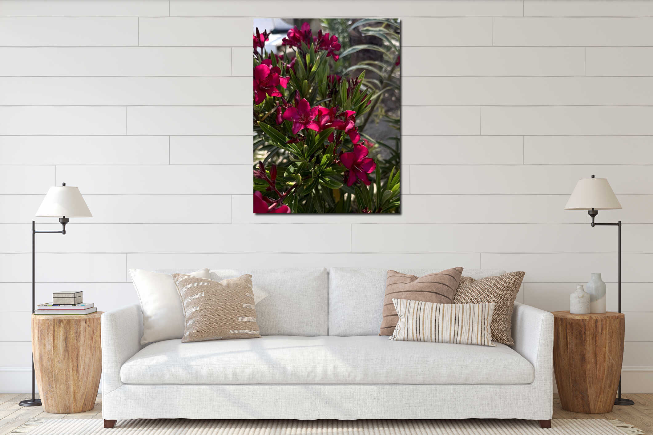 Vibrant pink bougainvillea flowers blooming. Background interior mockup