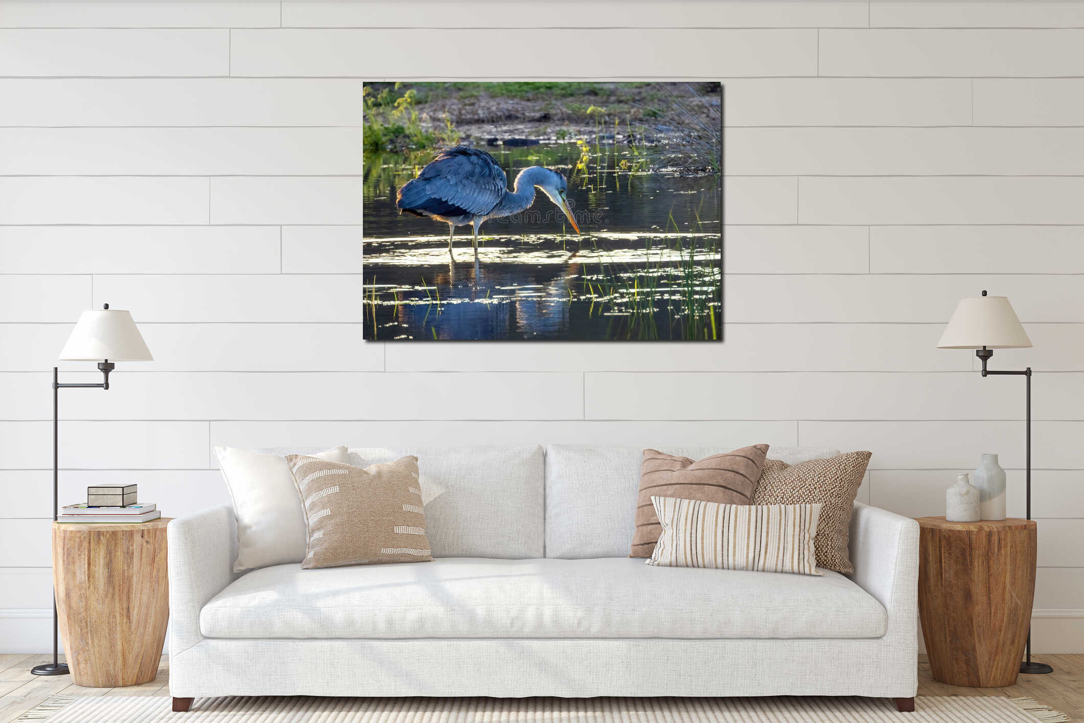 A grey heron (Ardea cinerea) forages in a small wetland in eastern Crete interior mockup