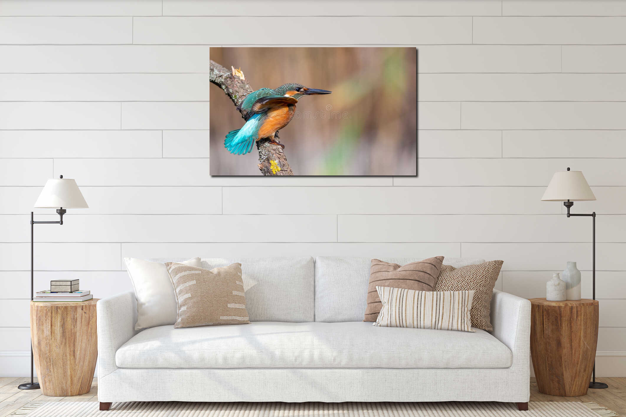 Common kingfisher. A bird sits on a branch and stretches its wings, beautiful background interior mockup