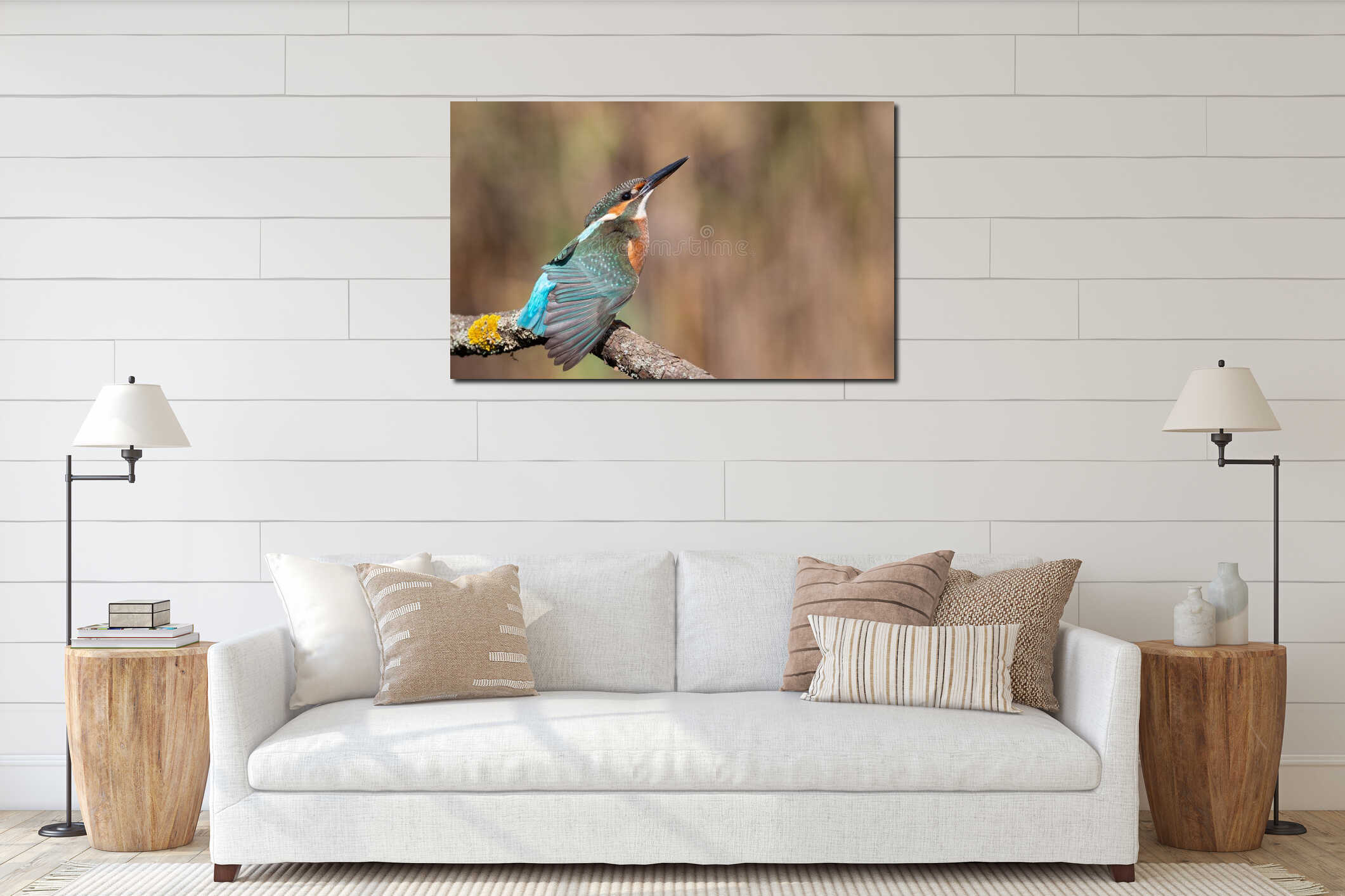 Common kingfisher. A bird sits on a branch and stretches its wings, beautiful background interior mockup