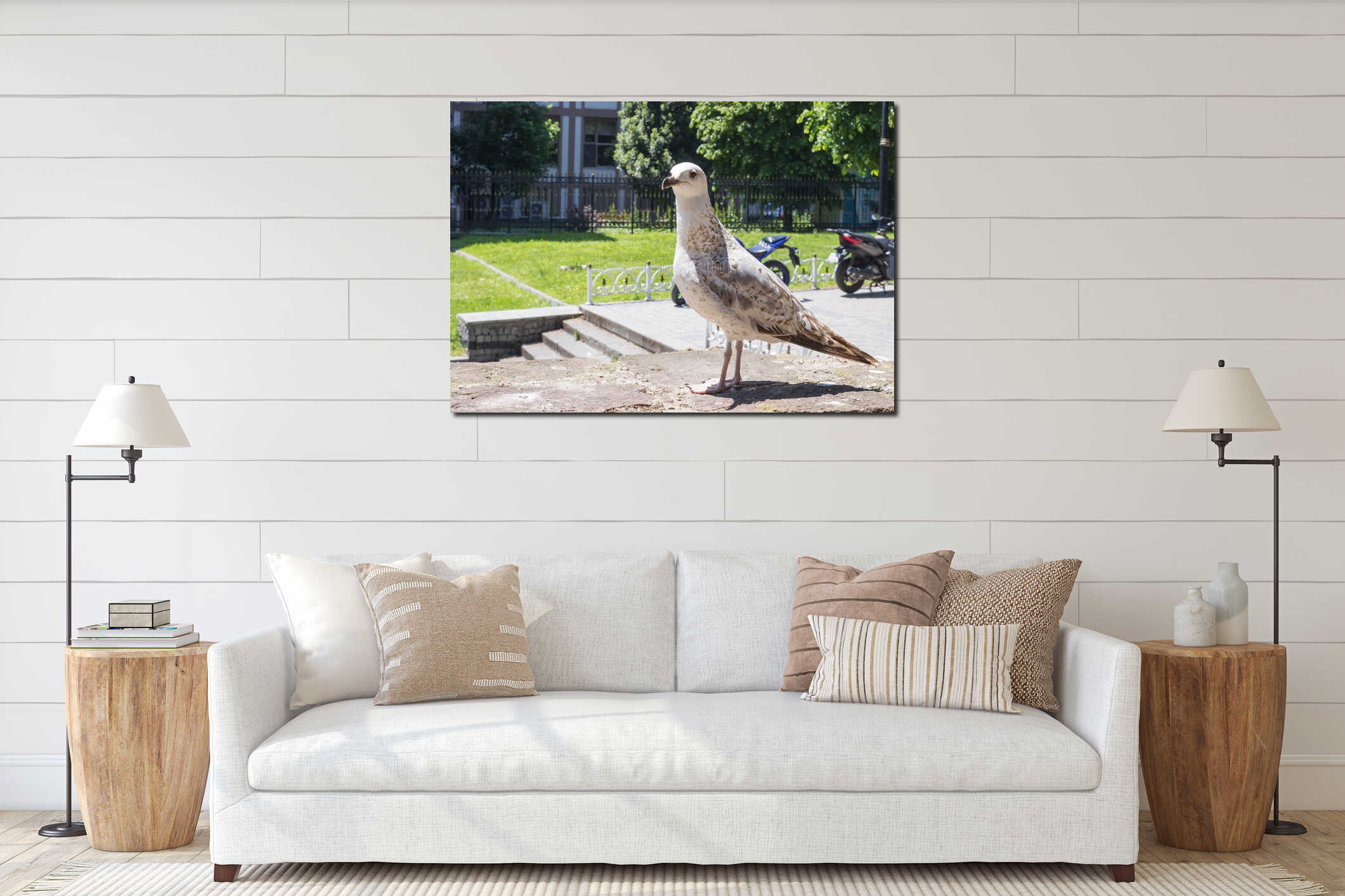 Urban seagull on a stone wall in sunny park with motorcycles and trees in background interior mockup