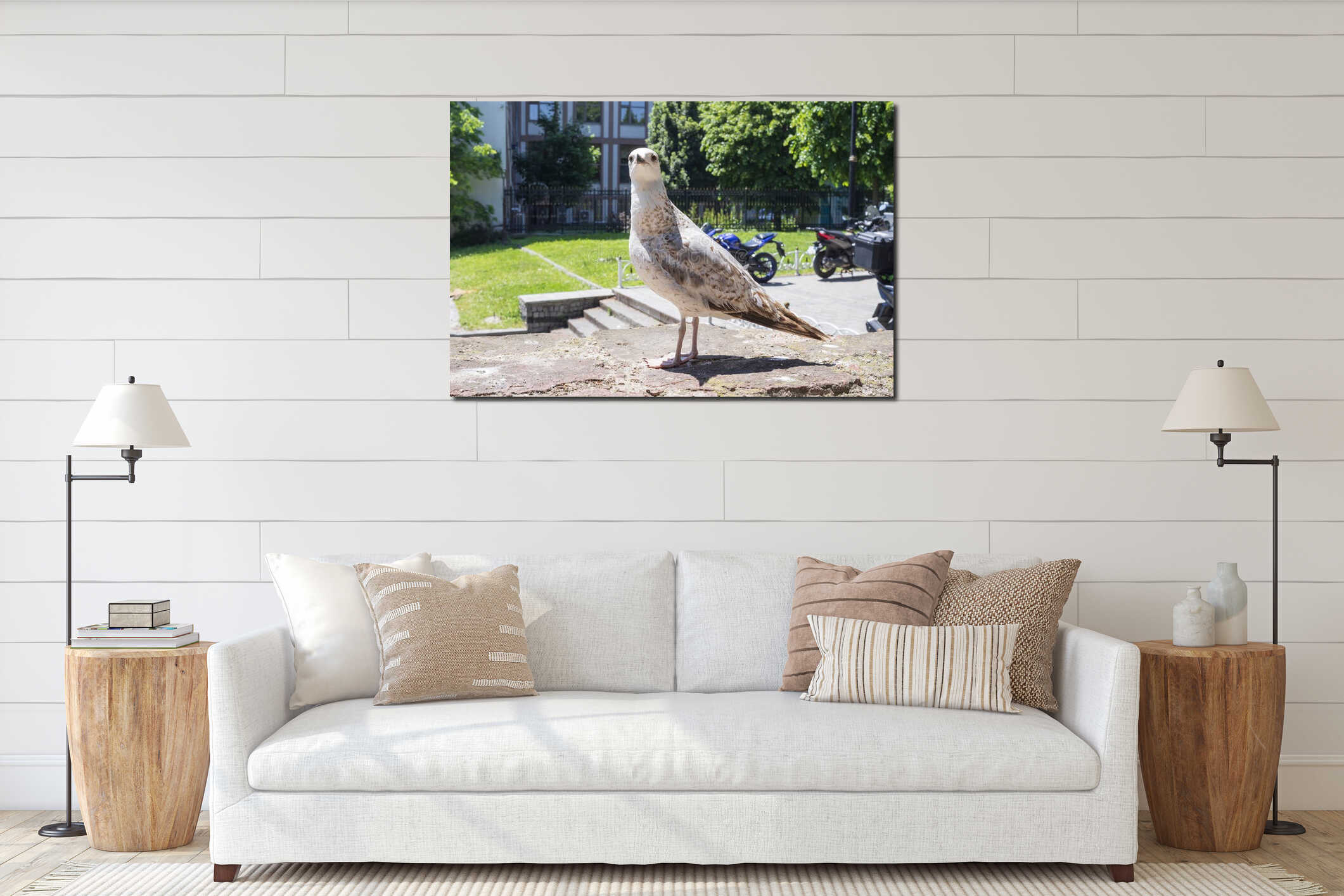 Urban seagull on a stone wall in sunny park with motorcycles and trees in background interior mockup