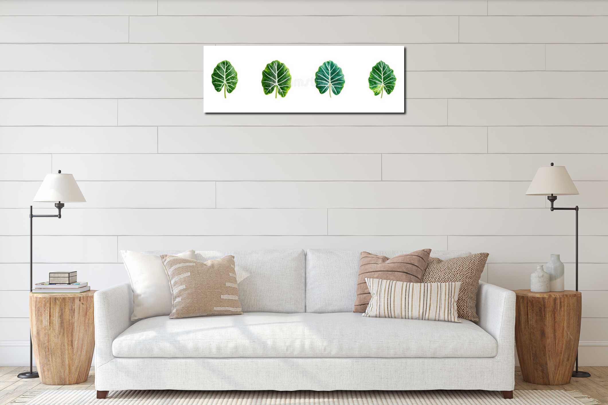 Tropical Alocasia Leaves Set. Botanical Nature And Greenery Collection Isolated On Transparent Background interior mockup