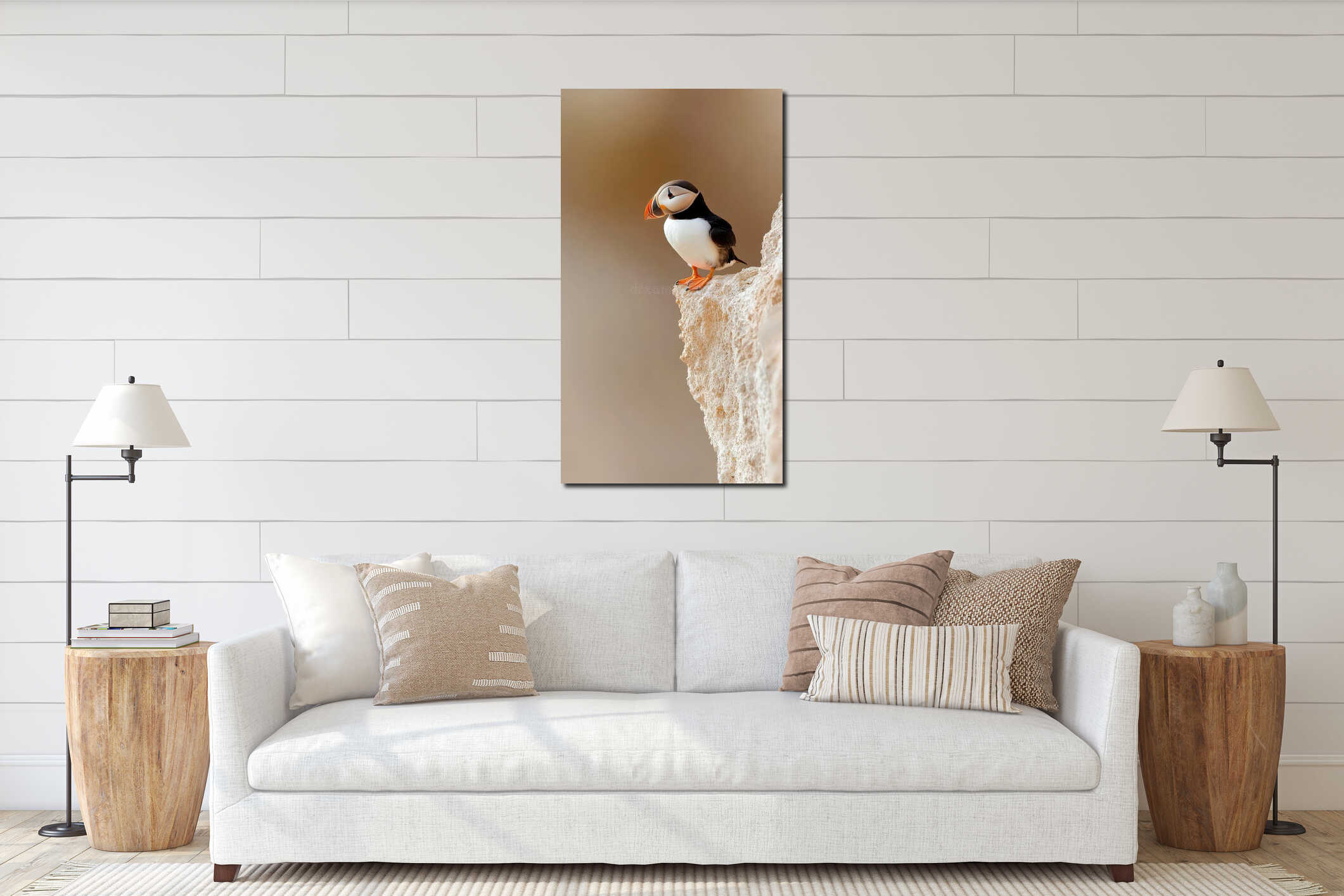 Puffin stands atop a rocky coastal cliff. Bird with black and white plumage and orange beak. Bright, clear view of arctic fauna. interior mockup
