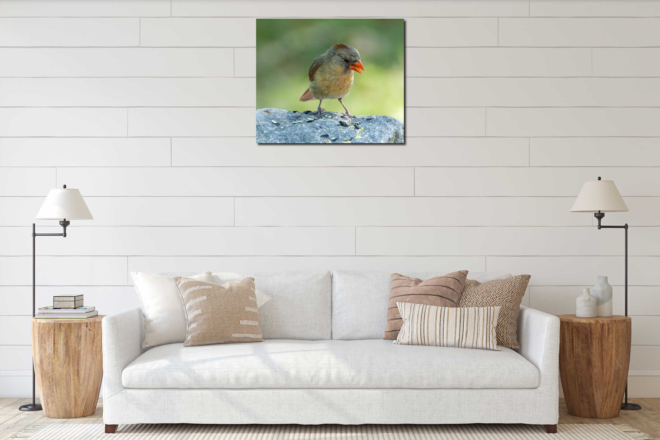Female Cardinal standing on a rock surrounded by black oil sunflower seeds interior mockup