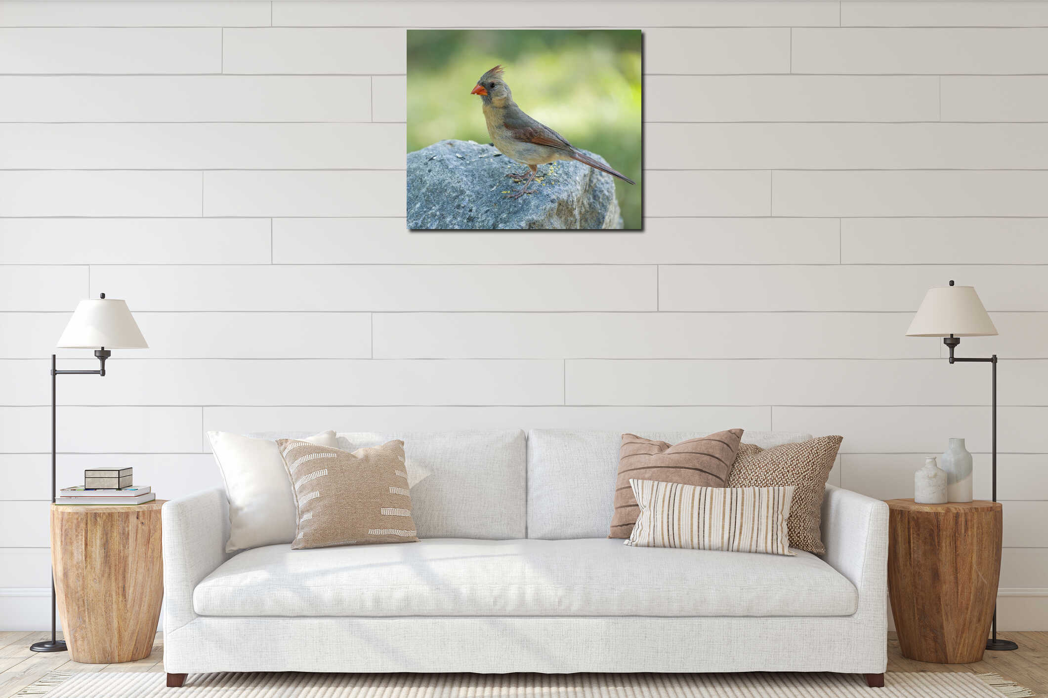 Female Cardinal standing on a rock interior mockup